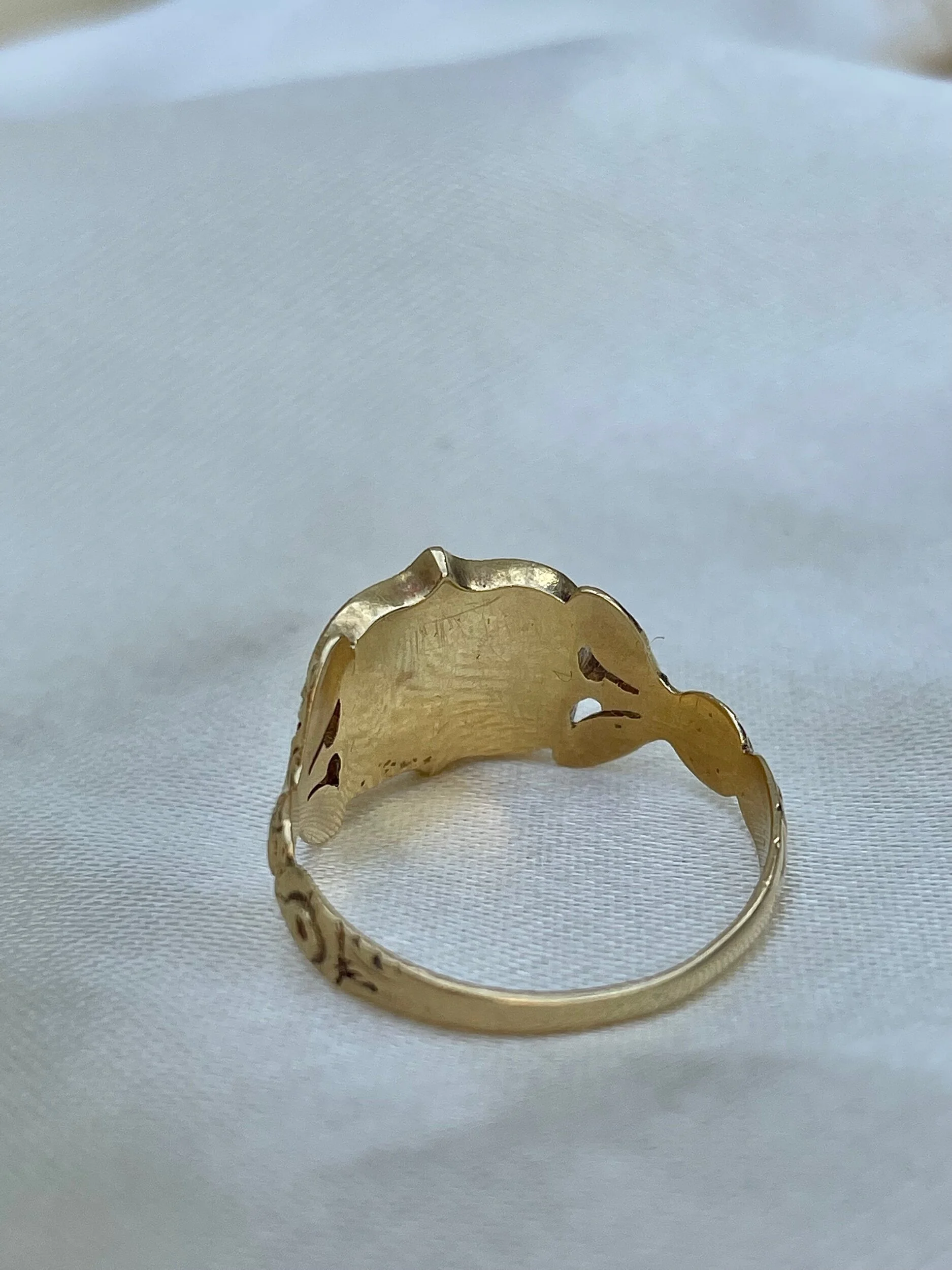 AC33365B-2F18-41AB-B86B-569DA15A09BD