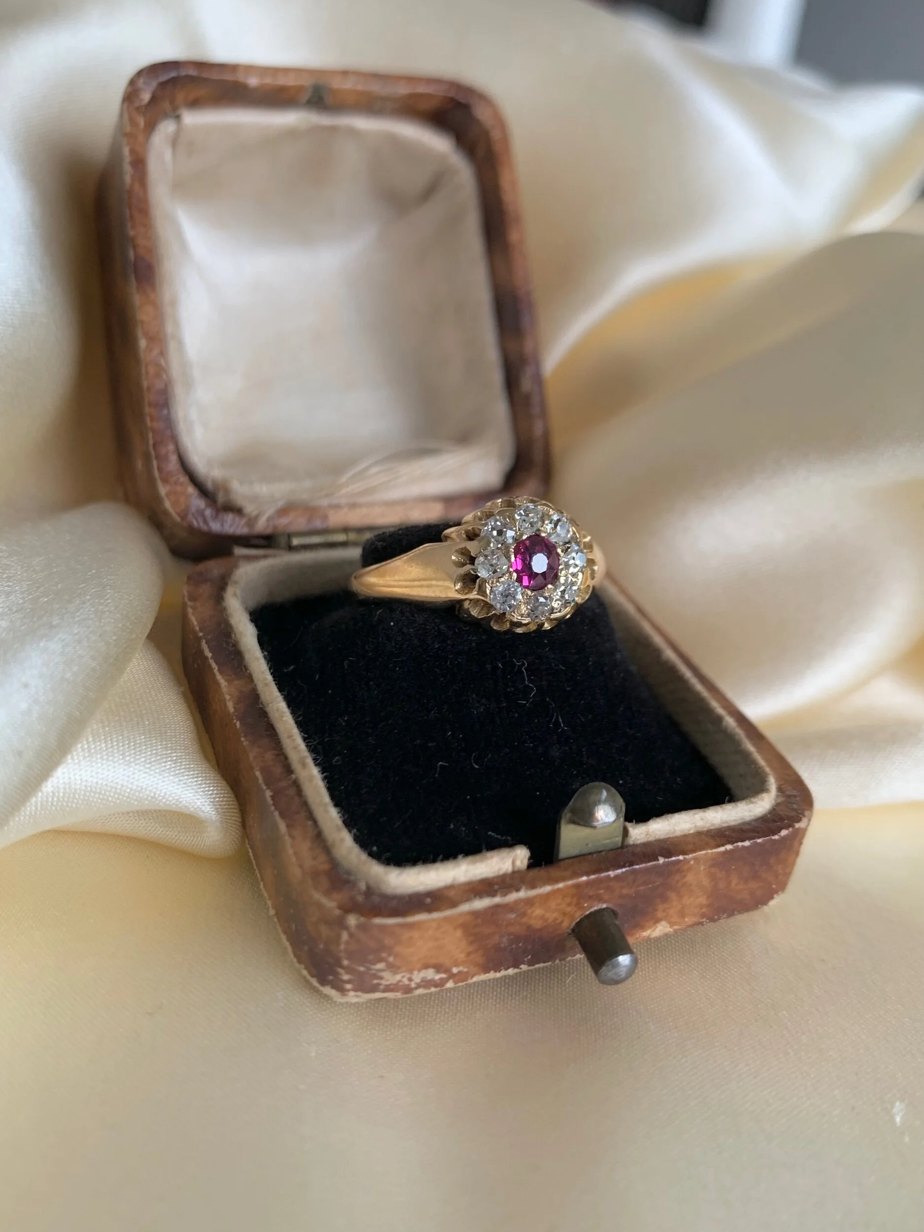 4EEED885-B5DA-4266-BA96-58320DFABE91