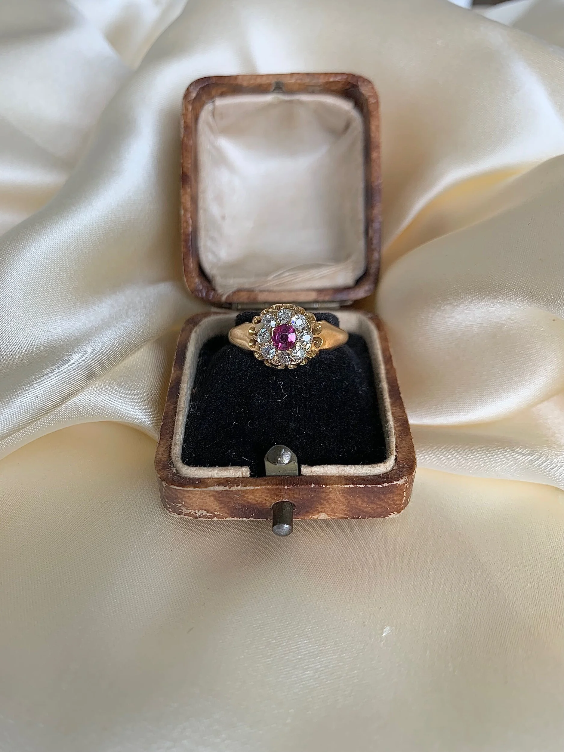 814A9A01-5521-4923-AD4D-DE3872A1A8E6