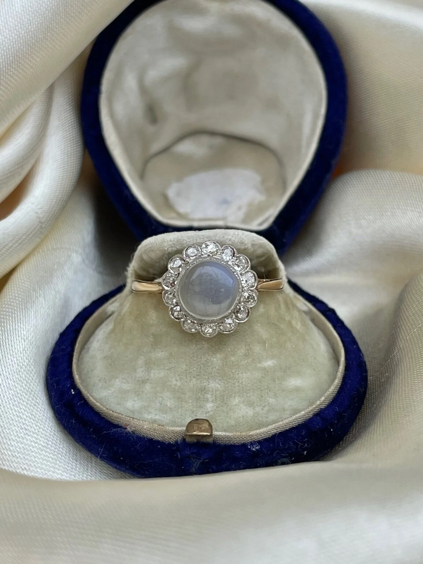 88E0DE51-57F9-46A5-B811-989A6A43B384