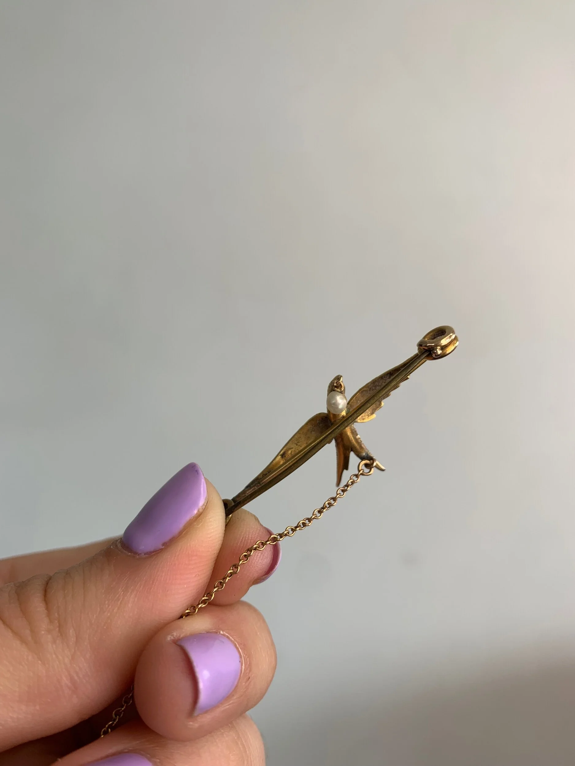 8FA53636-2C68-455A-BD7C-53B04E823C9F