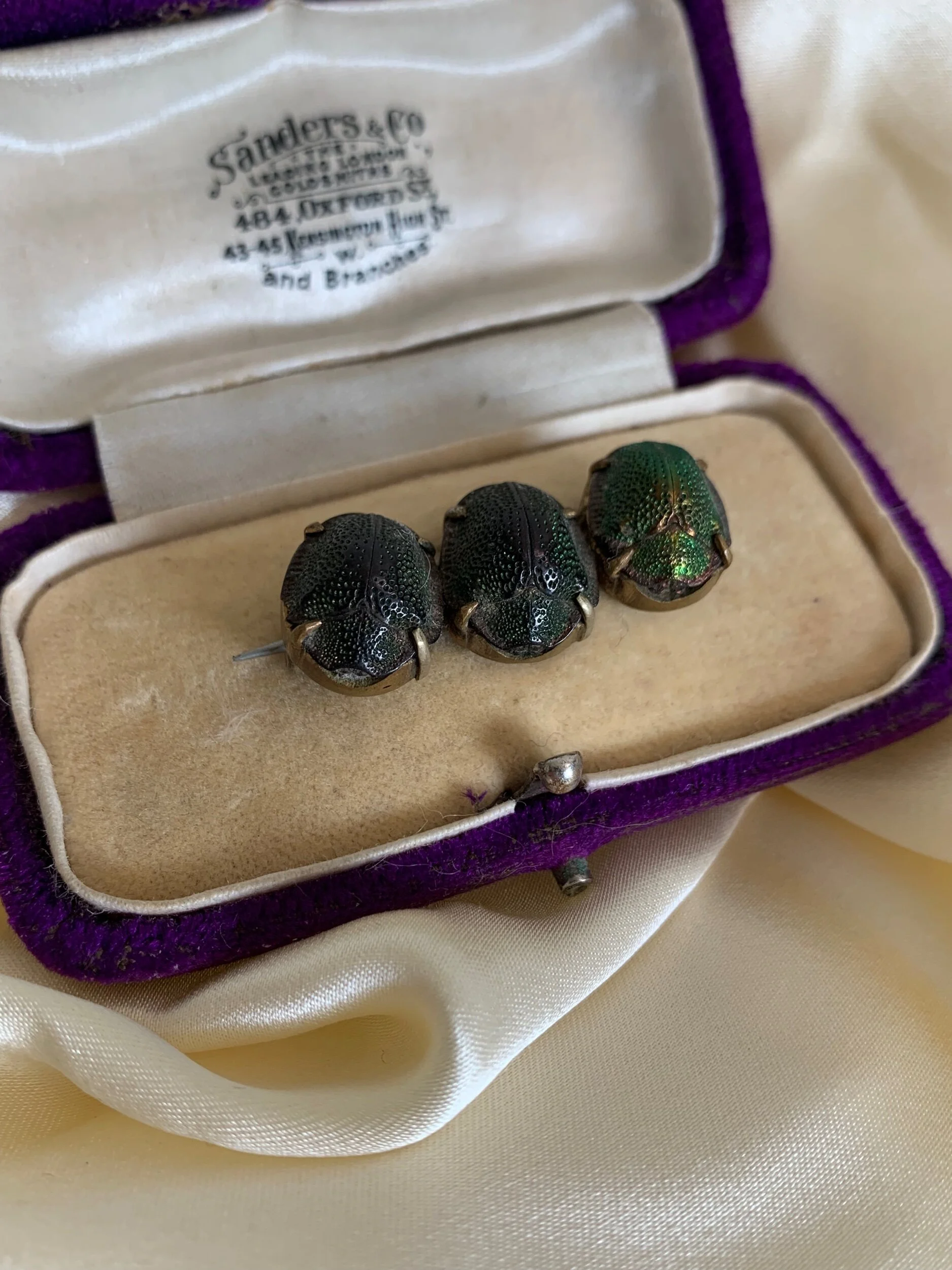 7FB3797E-959B-46DB-BB90-B0BA9A96D933