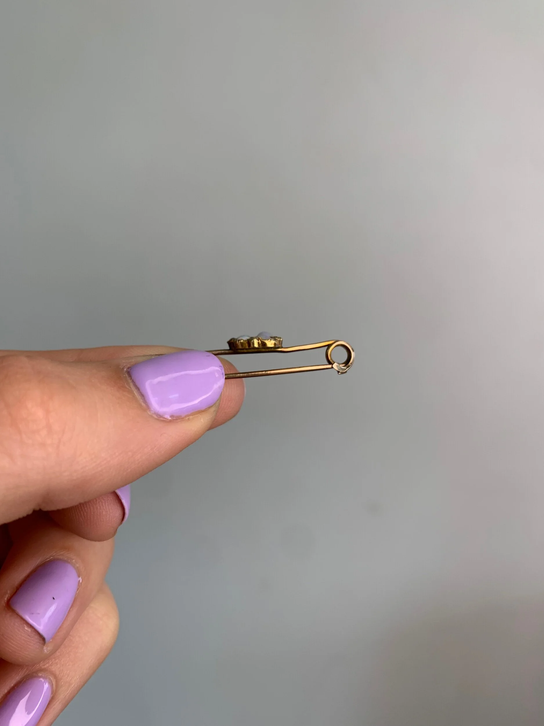 311BCEE6-7EA0-4370-BF5D-11FCF5FB39FF