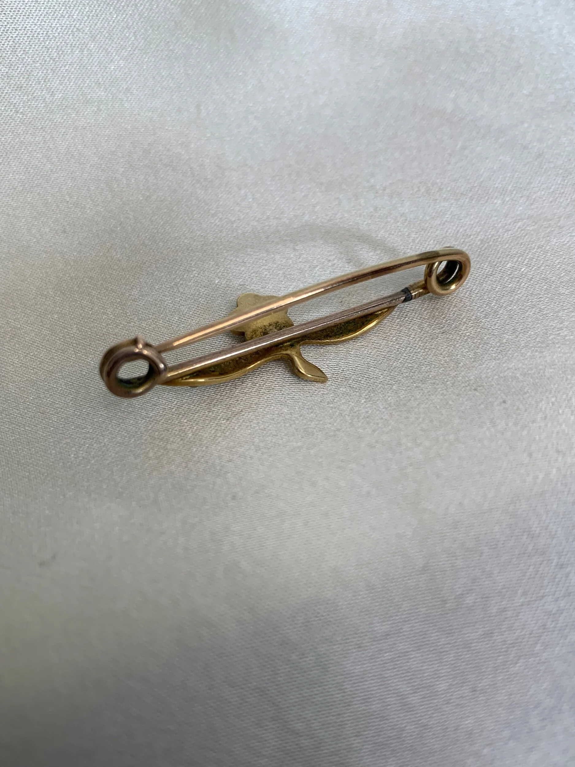 1AFB4C8F-48C8-4FBF-824B-B0139BBA13FF