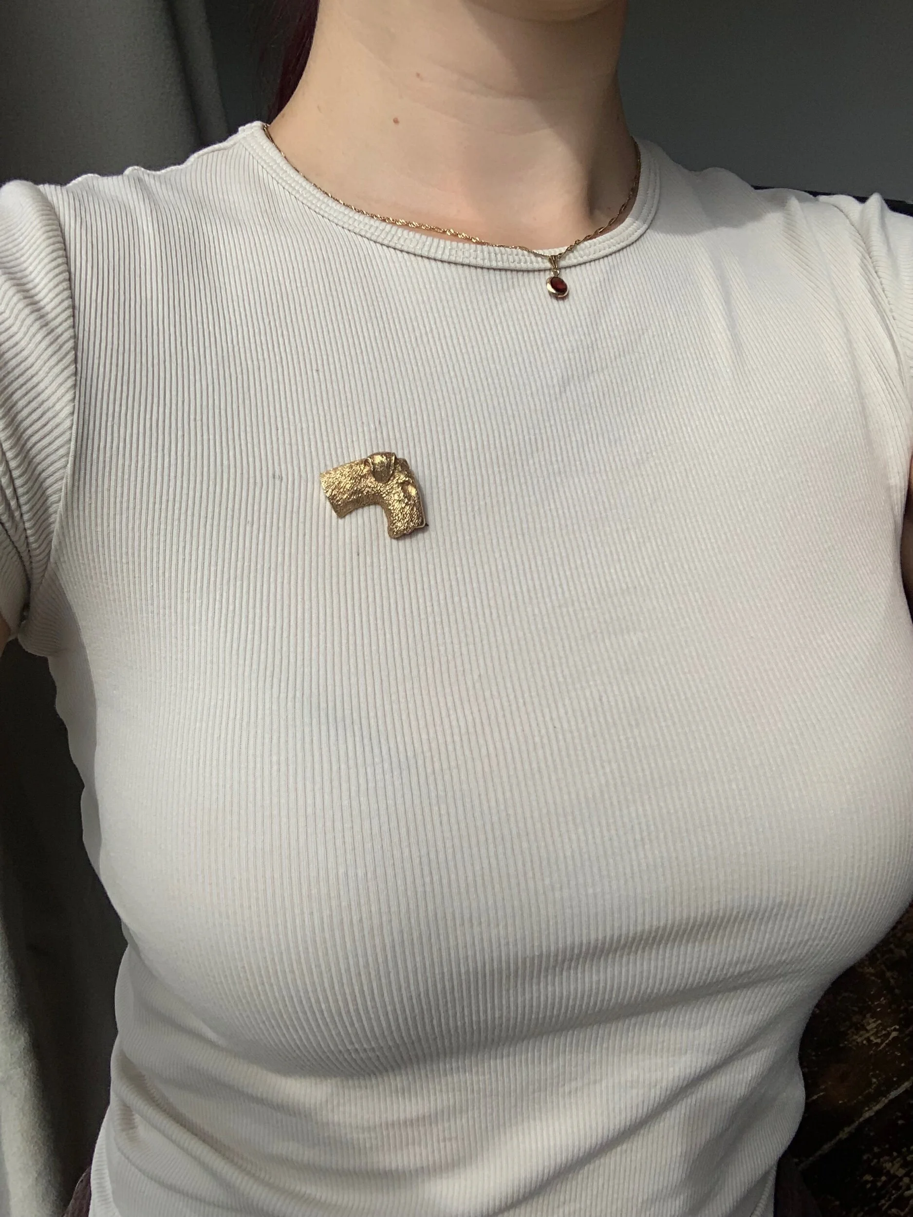 07C5F25D-4CCD-4731-97A0-566FA8A5E08C