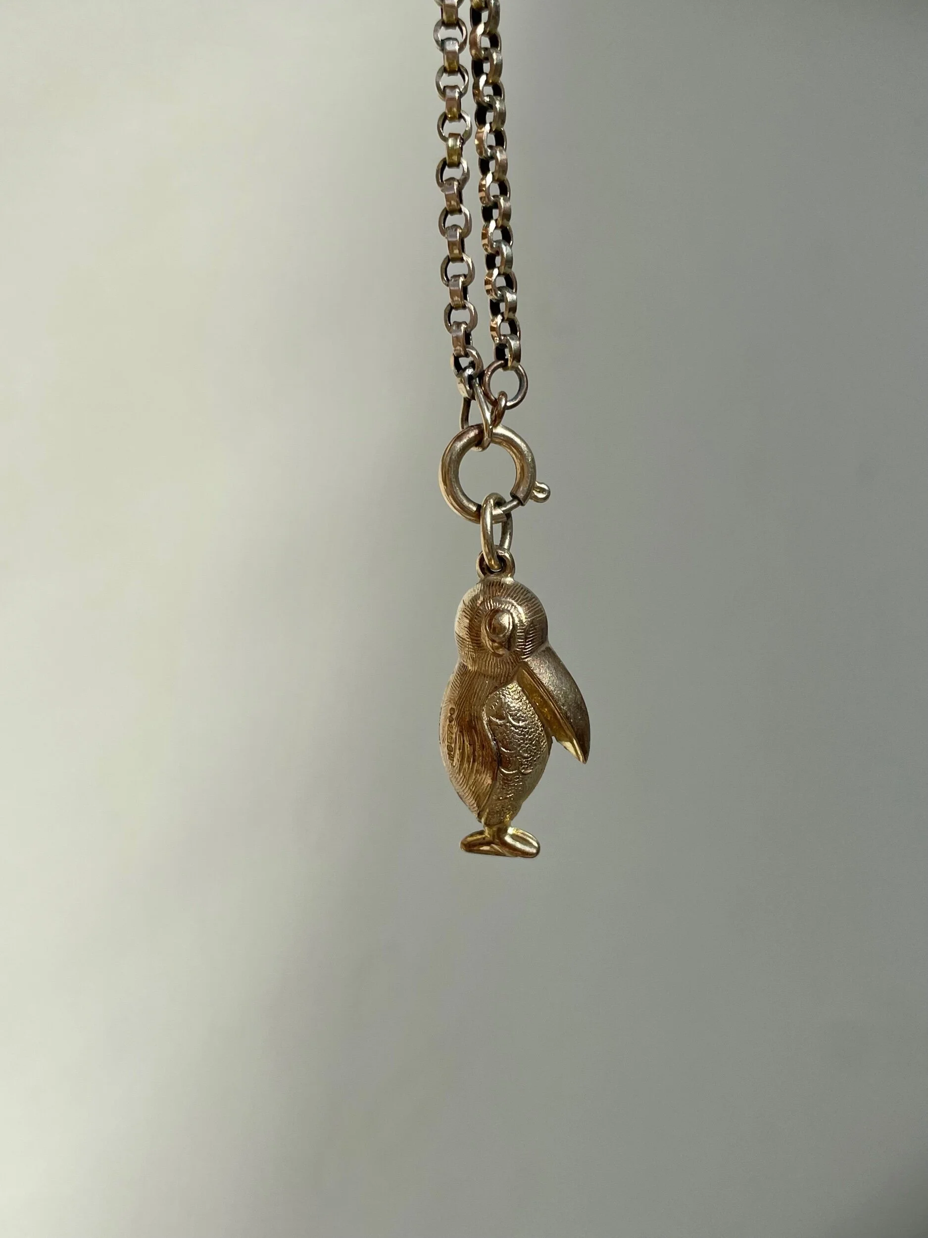 C137D13E-98D8-4BF2-A57B-E1FD1CAFA4FD