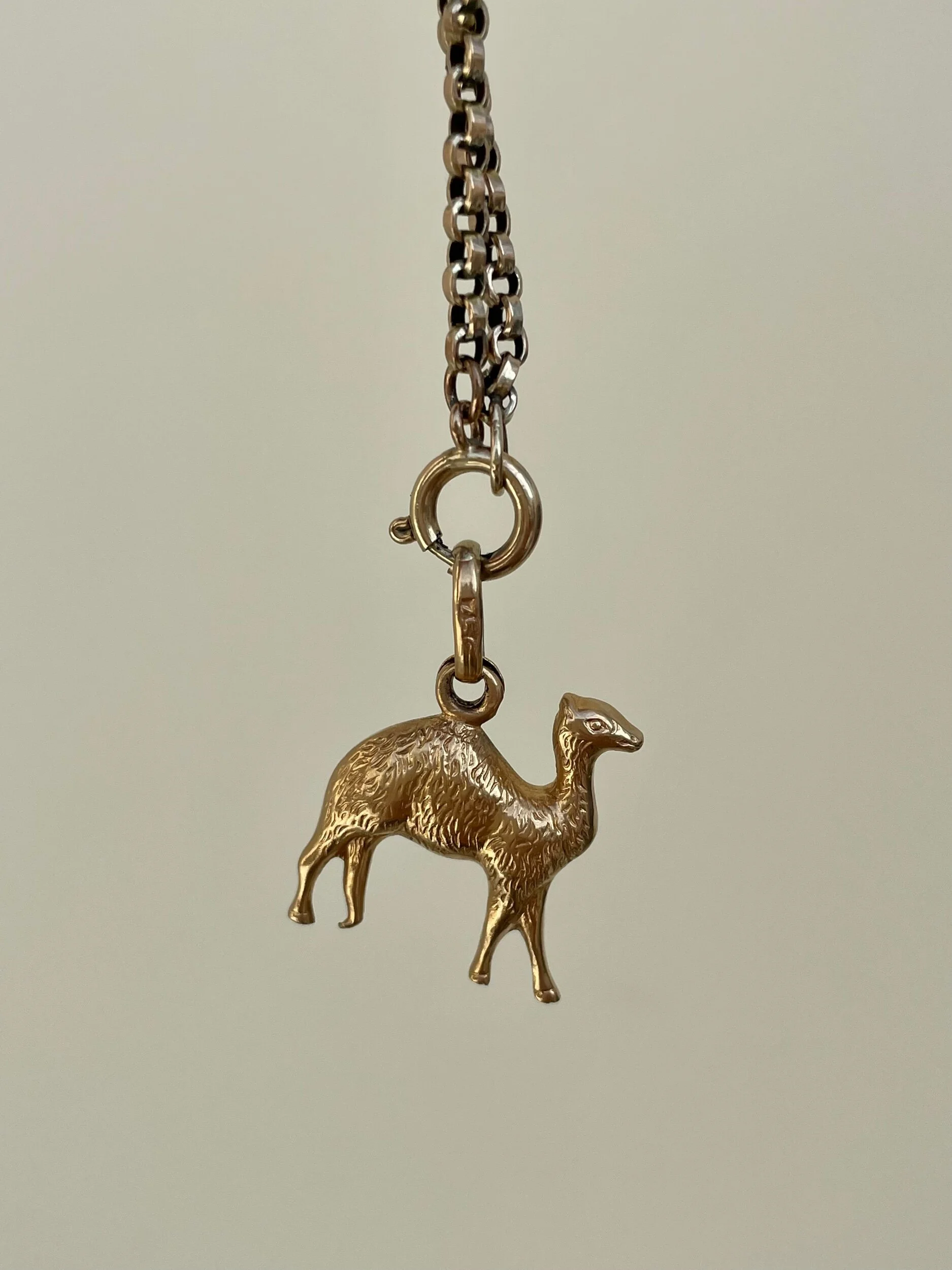 137067F3-5046-40A9-BC3B-095BD2314E57