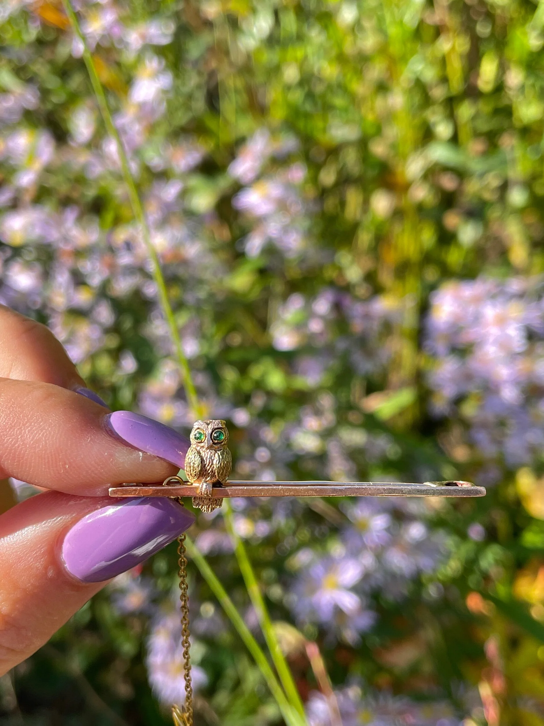 C766E393-5E6D-47D5-9474-2FA276F50807