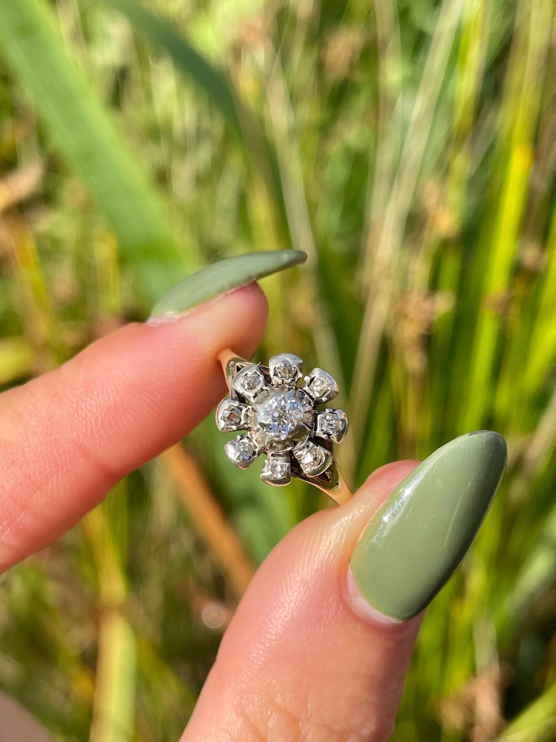 E4708AC2-1957-4BAD-A3E3-D6B2DD4F3085