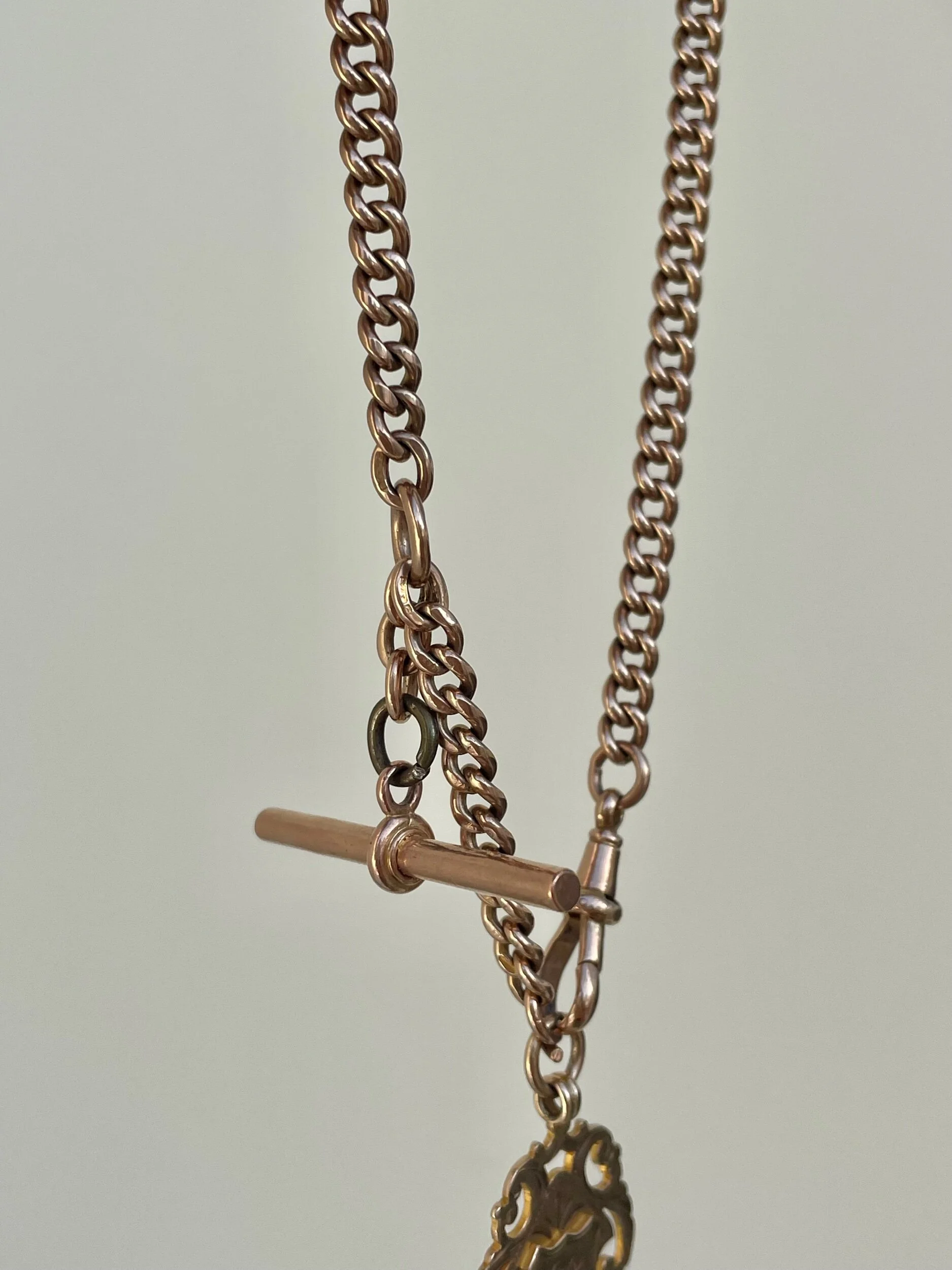 737BEEDA-8417-4D2E-9A4E-C4172269E7FF