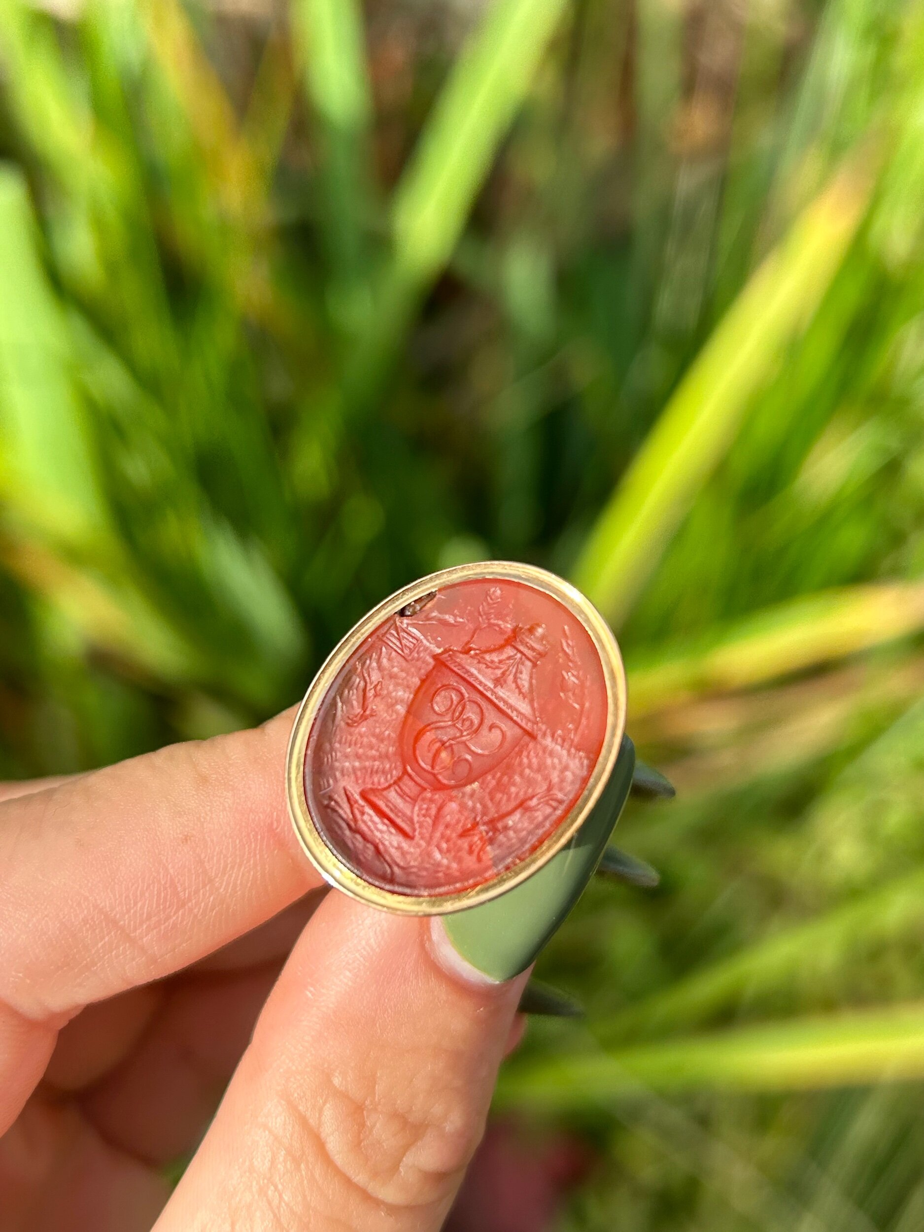 4E86CA50-005B-4E8F-A6ED-7FDBE3A5242B