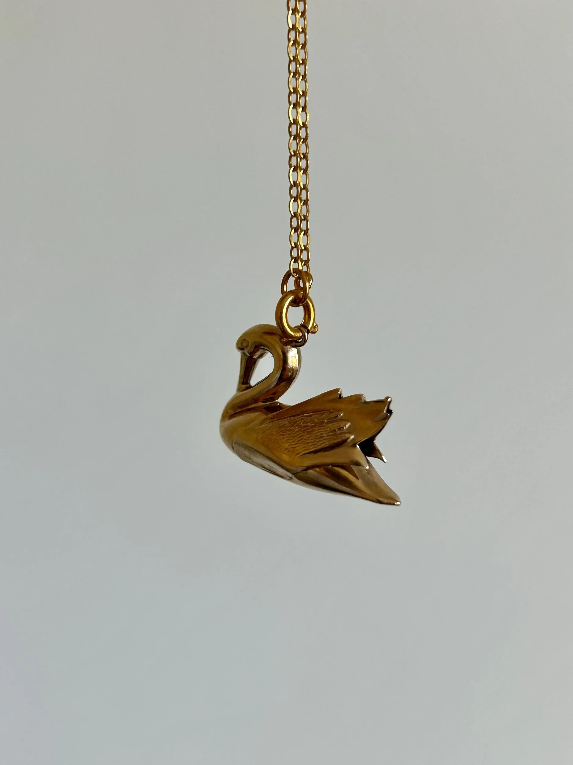 E6F0B539-2498-4113-812B-1C8A81A33668