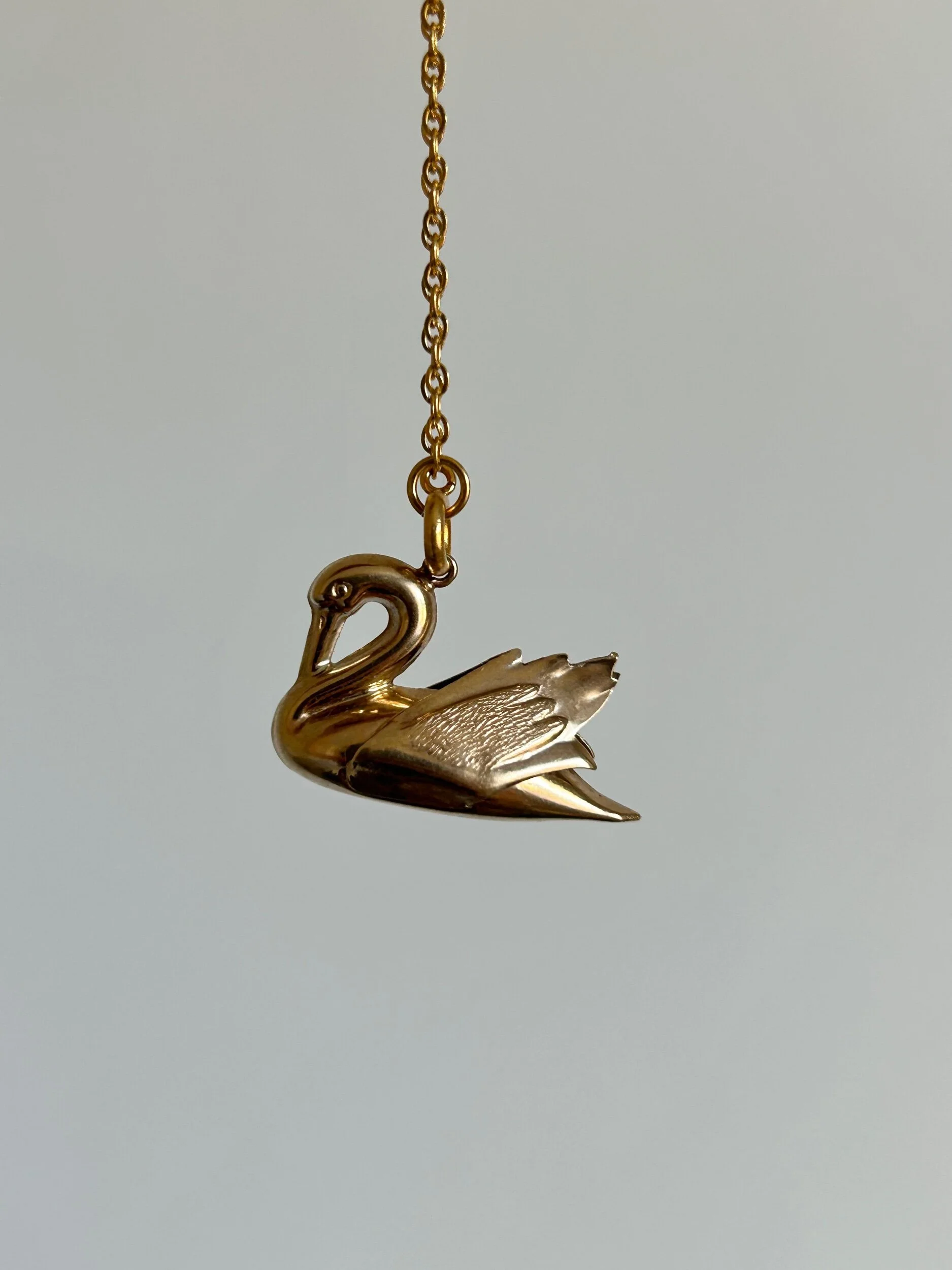 97B31D5E-FAE2-4F4C-A0D5-83BC389EBDDB