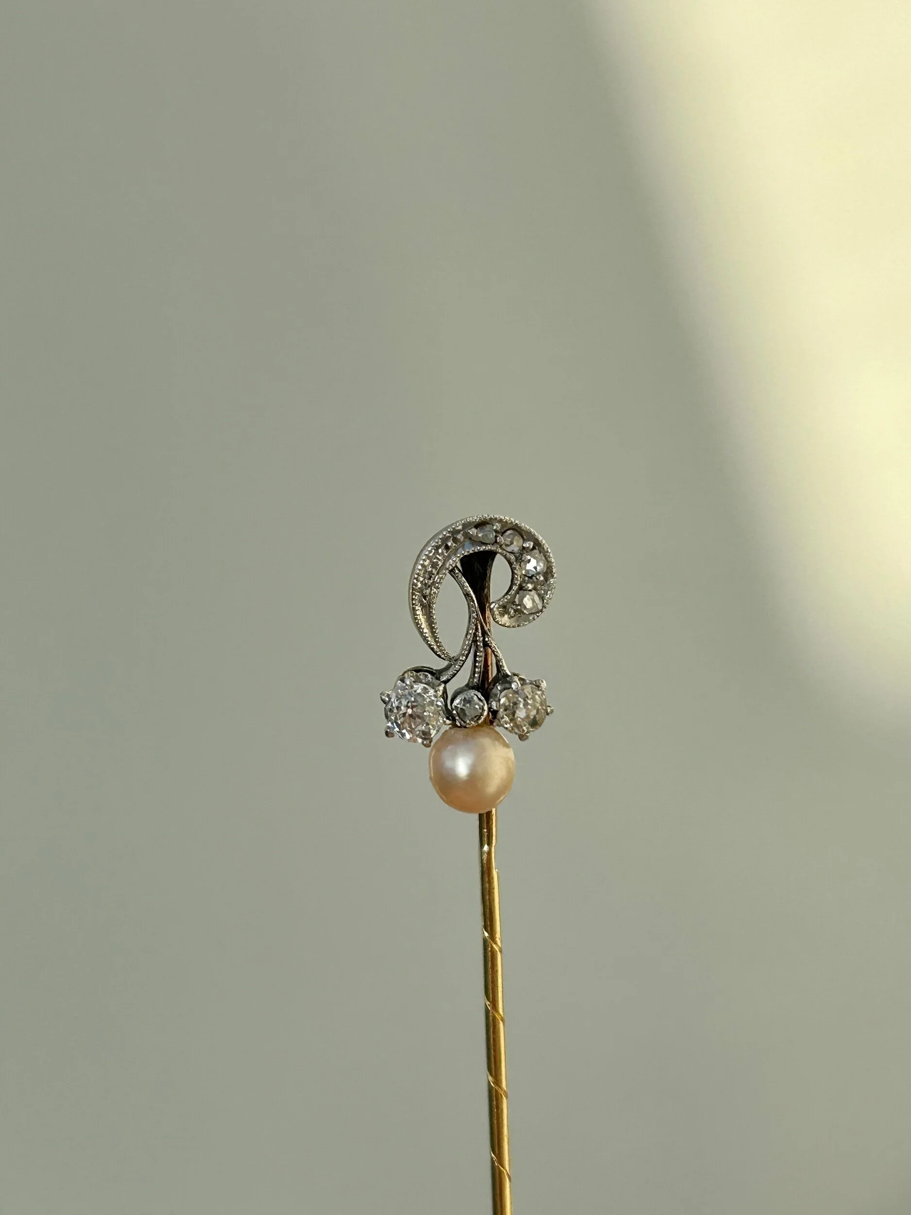 36942F9F-25A1-4A05-B618-B3A51A5D82E8