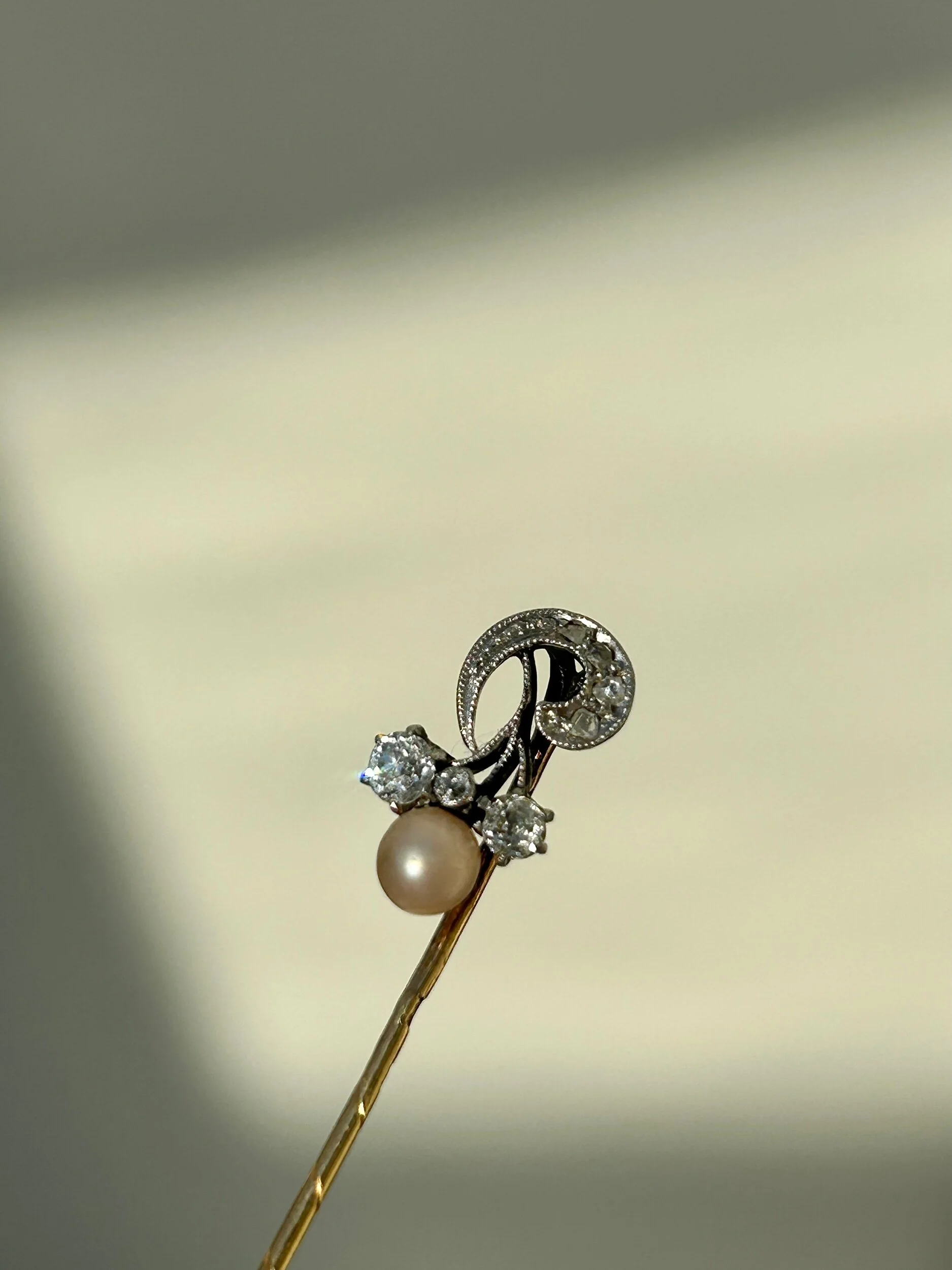 FDA19483-784D-43C2-A422-6C2C1394D3BE