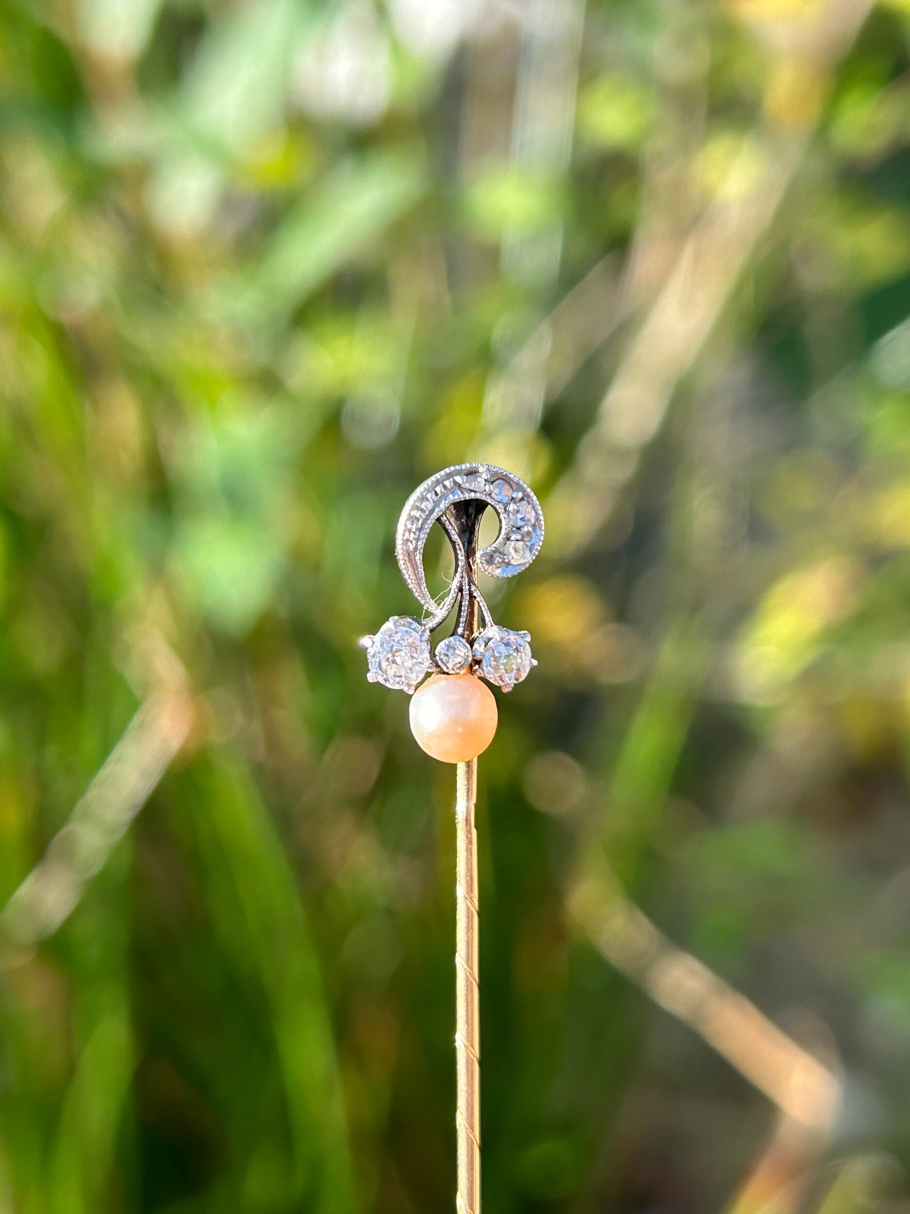 608CA937-D0D2-4417-9FE4-346E735EBF37