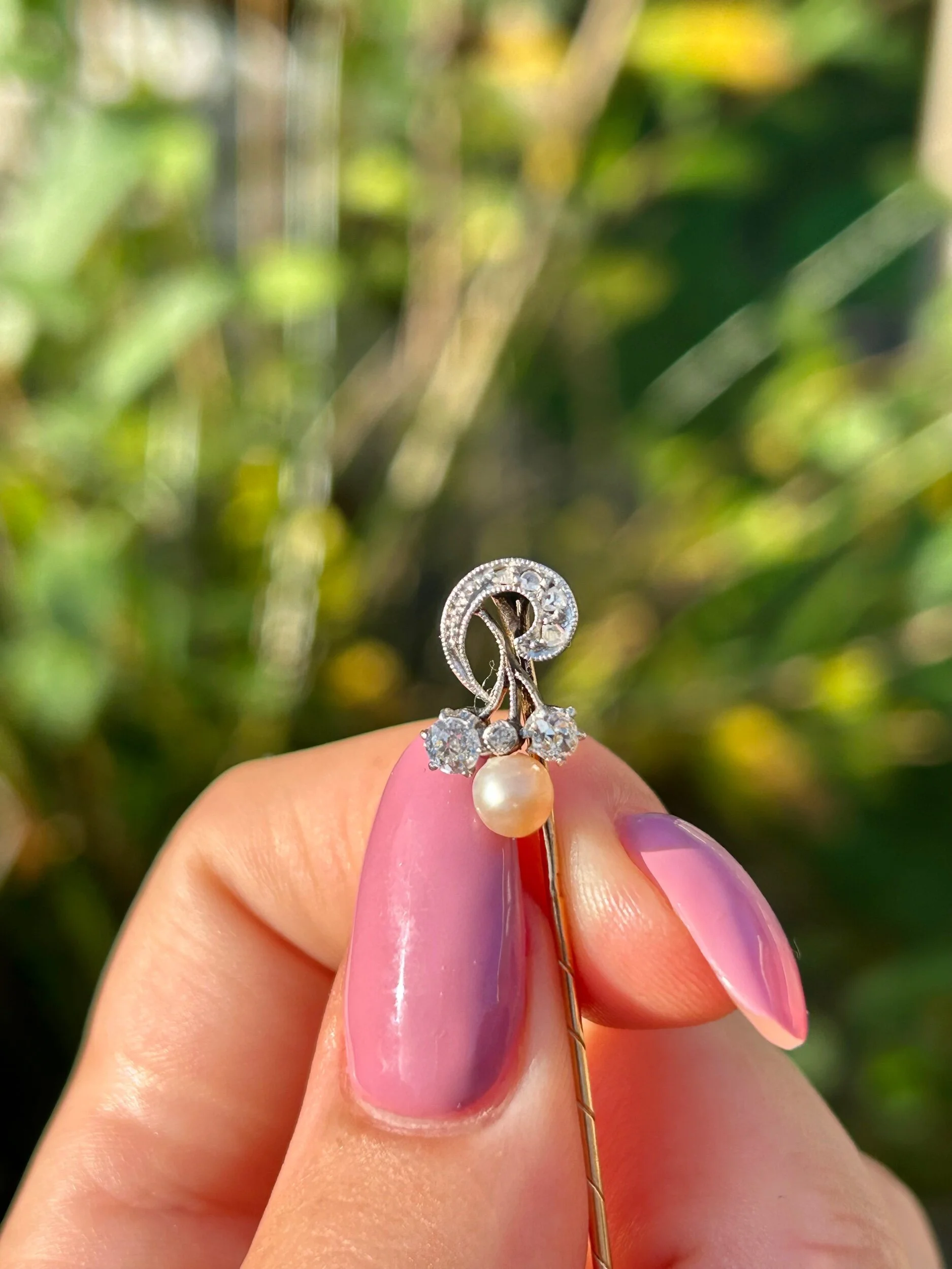 E210E968-F3EB-4AA1-A364-1AD17D848C07