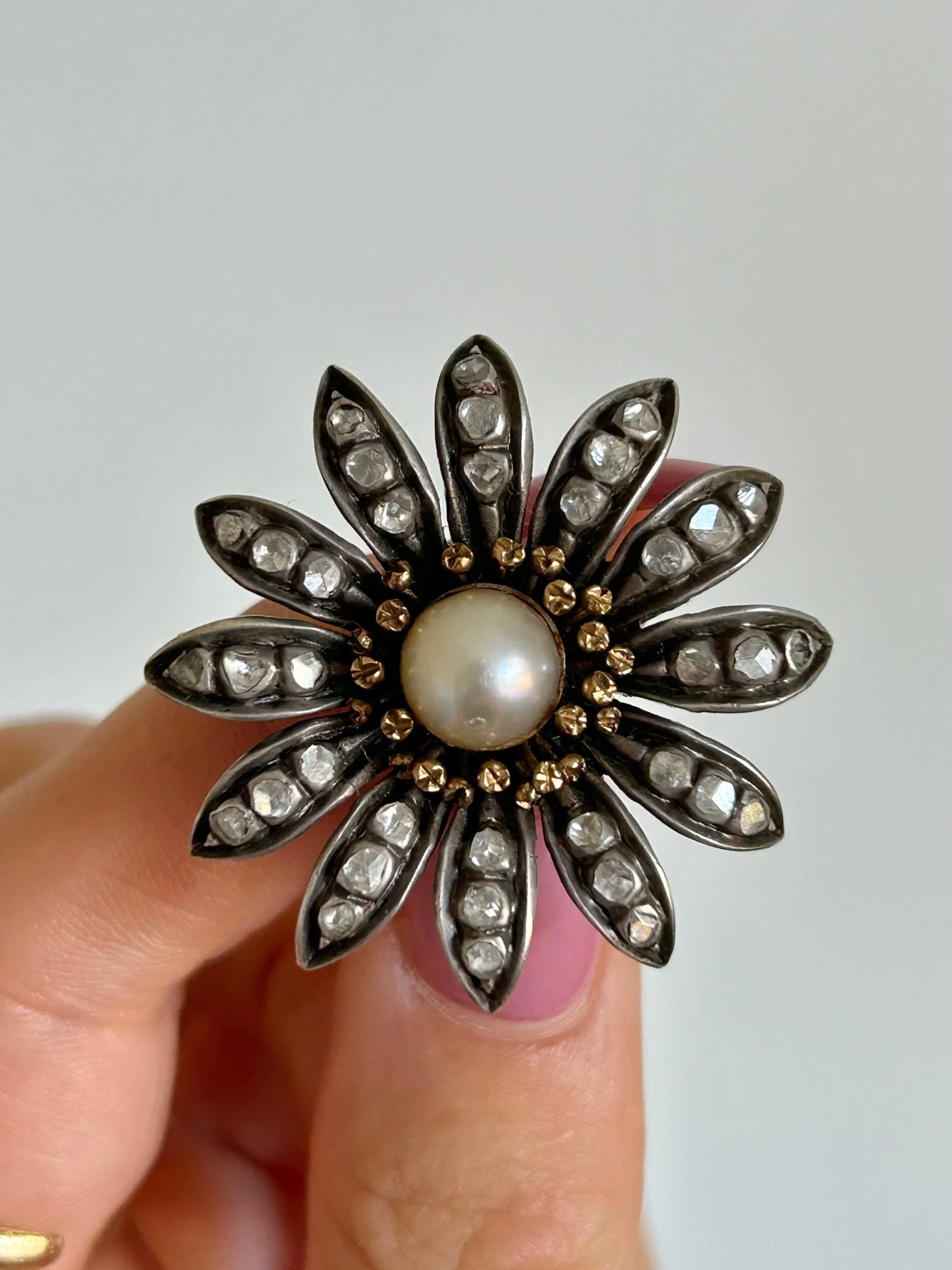 D4E52930-0079-4CAF-B2D9-F4C57A58D0F4