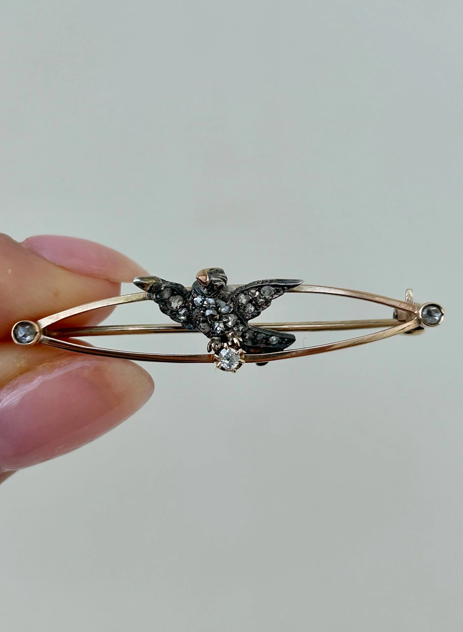 DA03A977-B53E-4C8E-87C1-BD30D68C6A78