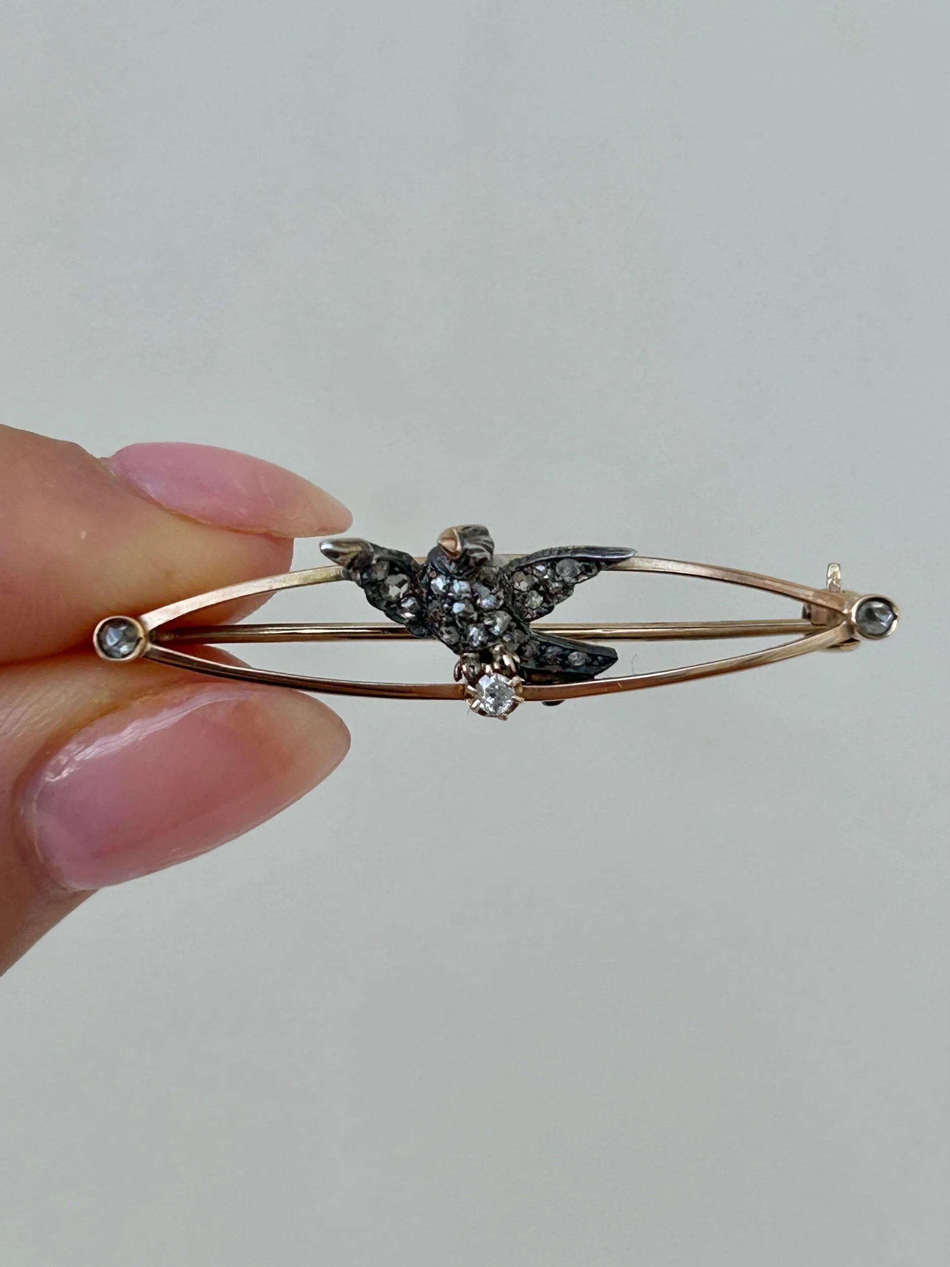 508CD79D-D334-4520-B615-72B3185C806A