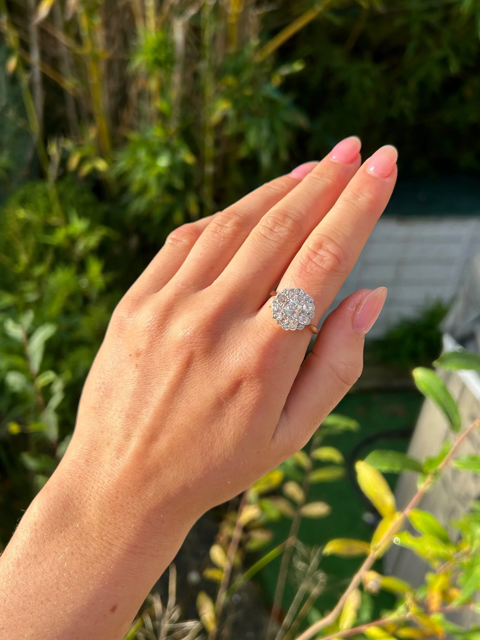 6815A001-7C36-41BC-AD54-D3E3DBA4EE88