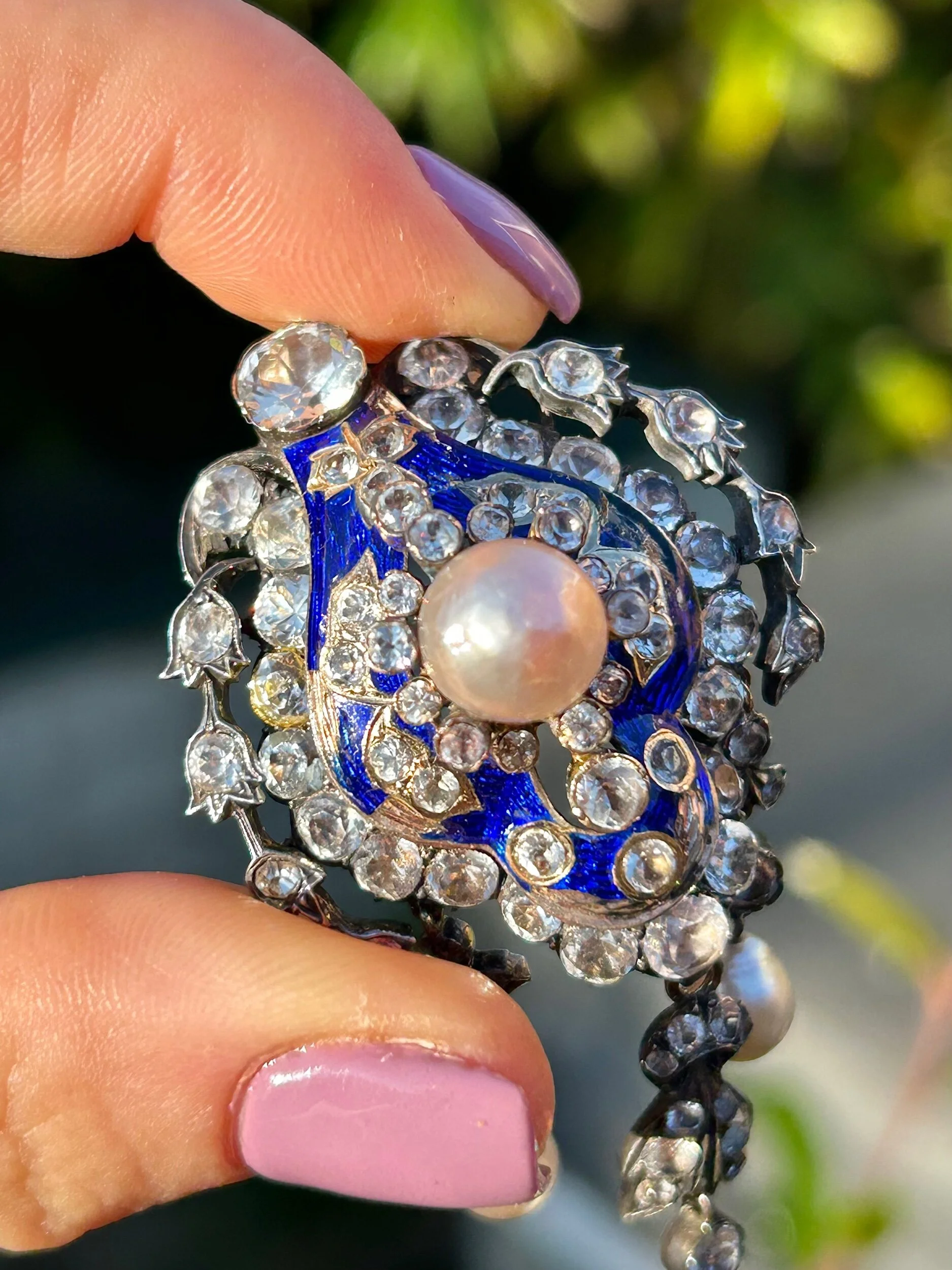 51D0497E-1A0D-4803-AF6F-1483E48413F2