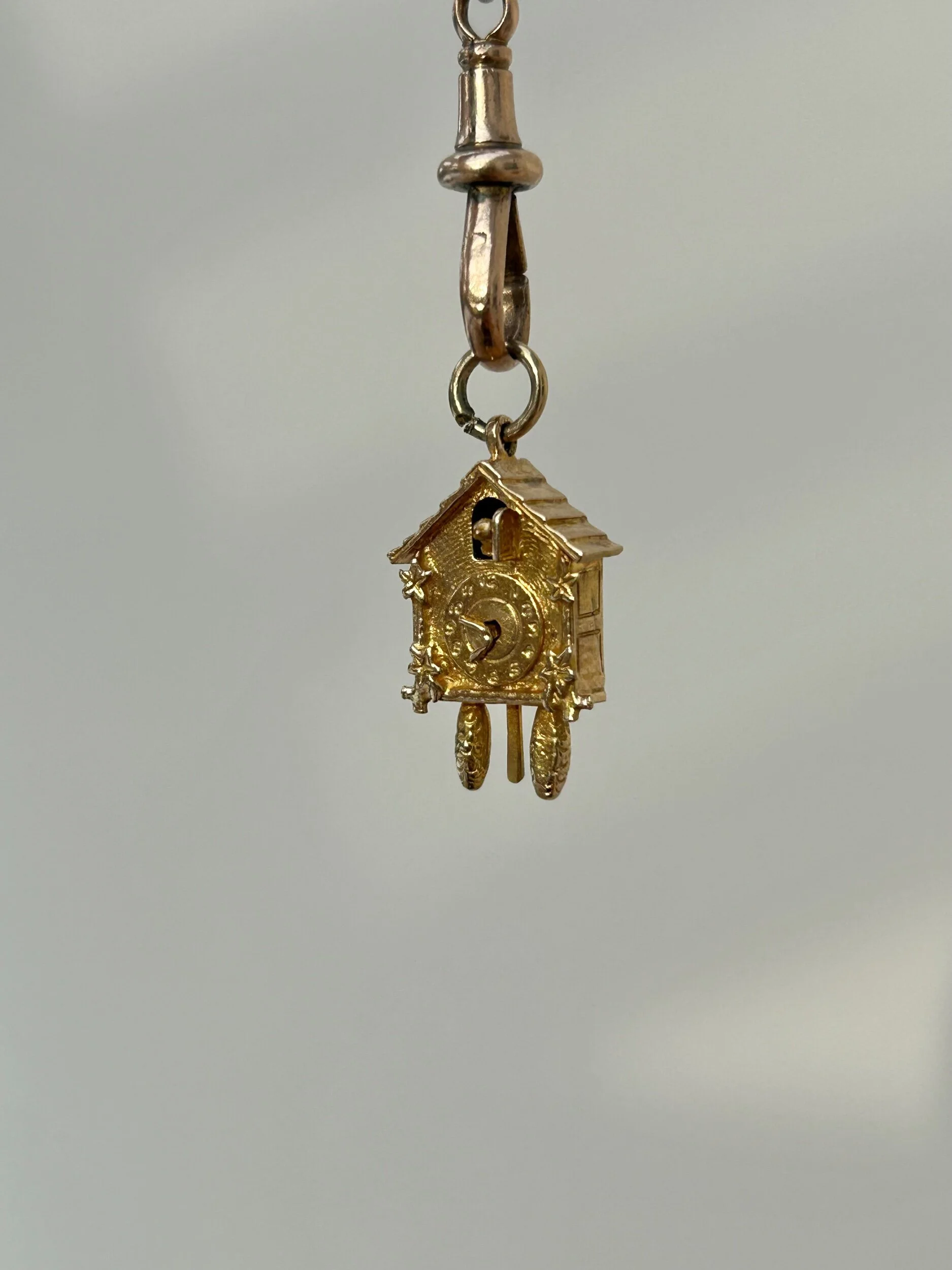 21326851-24B0-41E0-8F60-82B2AD76C35C