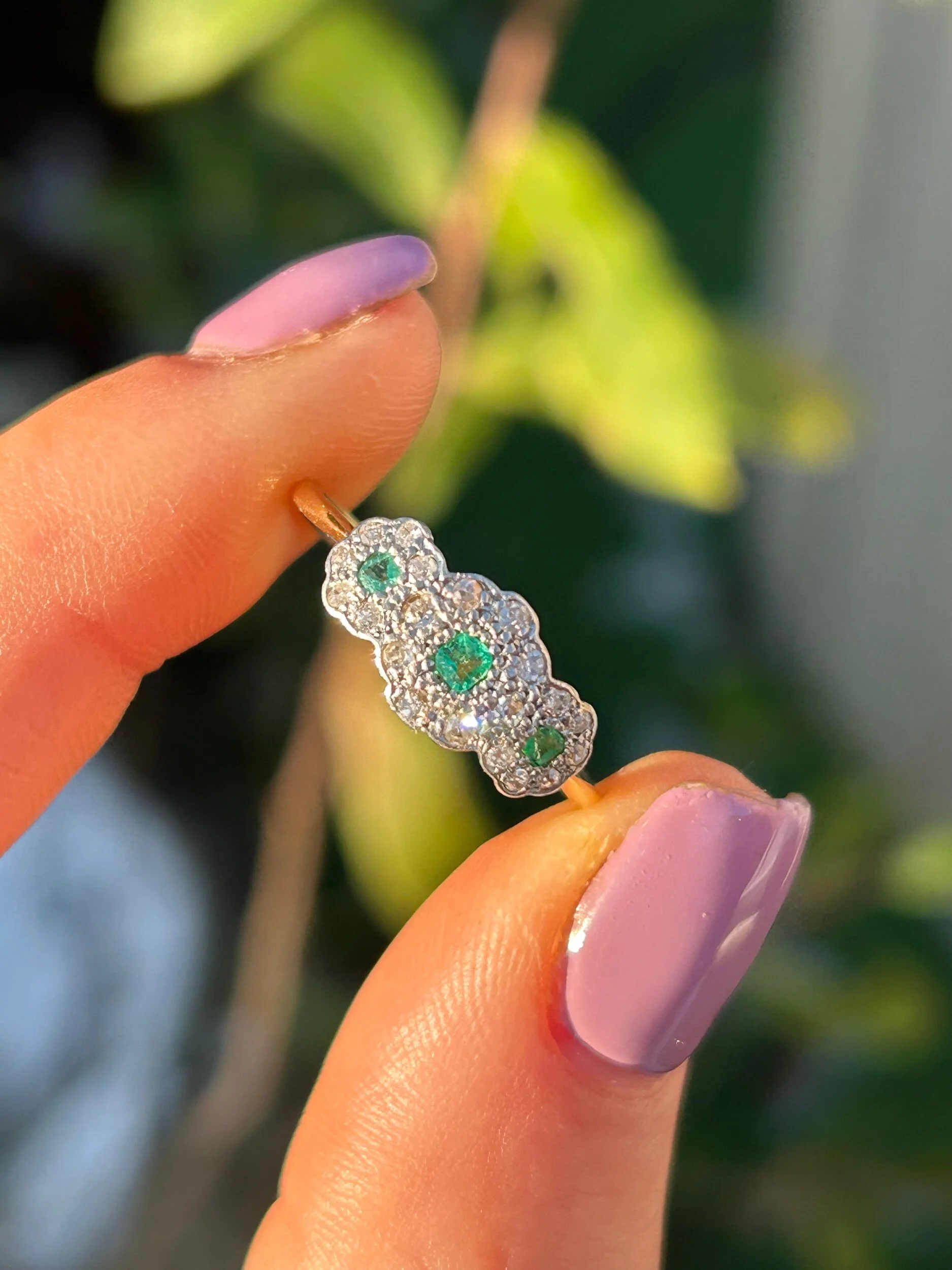 44E288DD-A1A2-473C-A965-0B1F3316D805