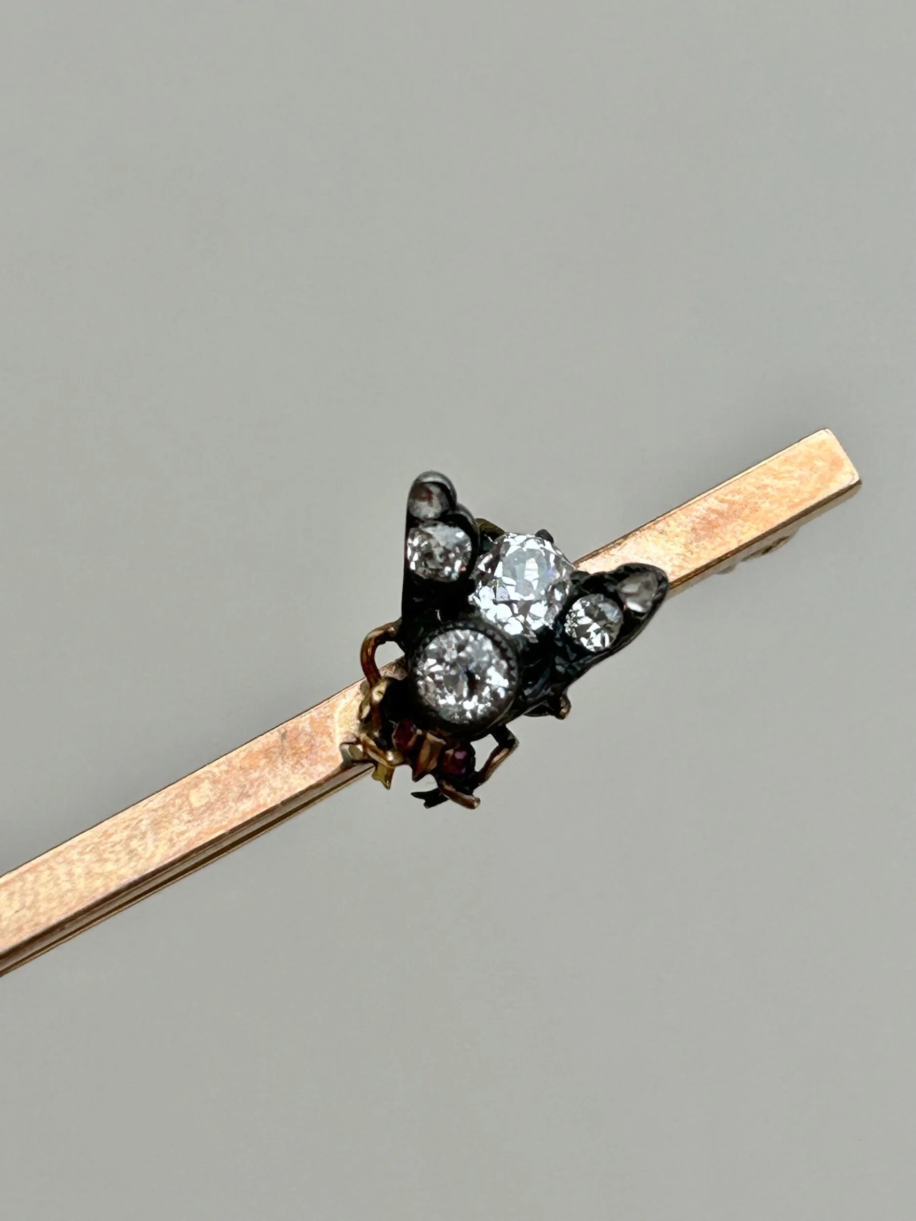 FC98CD37-4924-4253-B6C1-33F545C09FE7