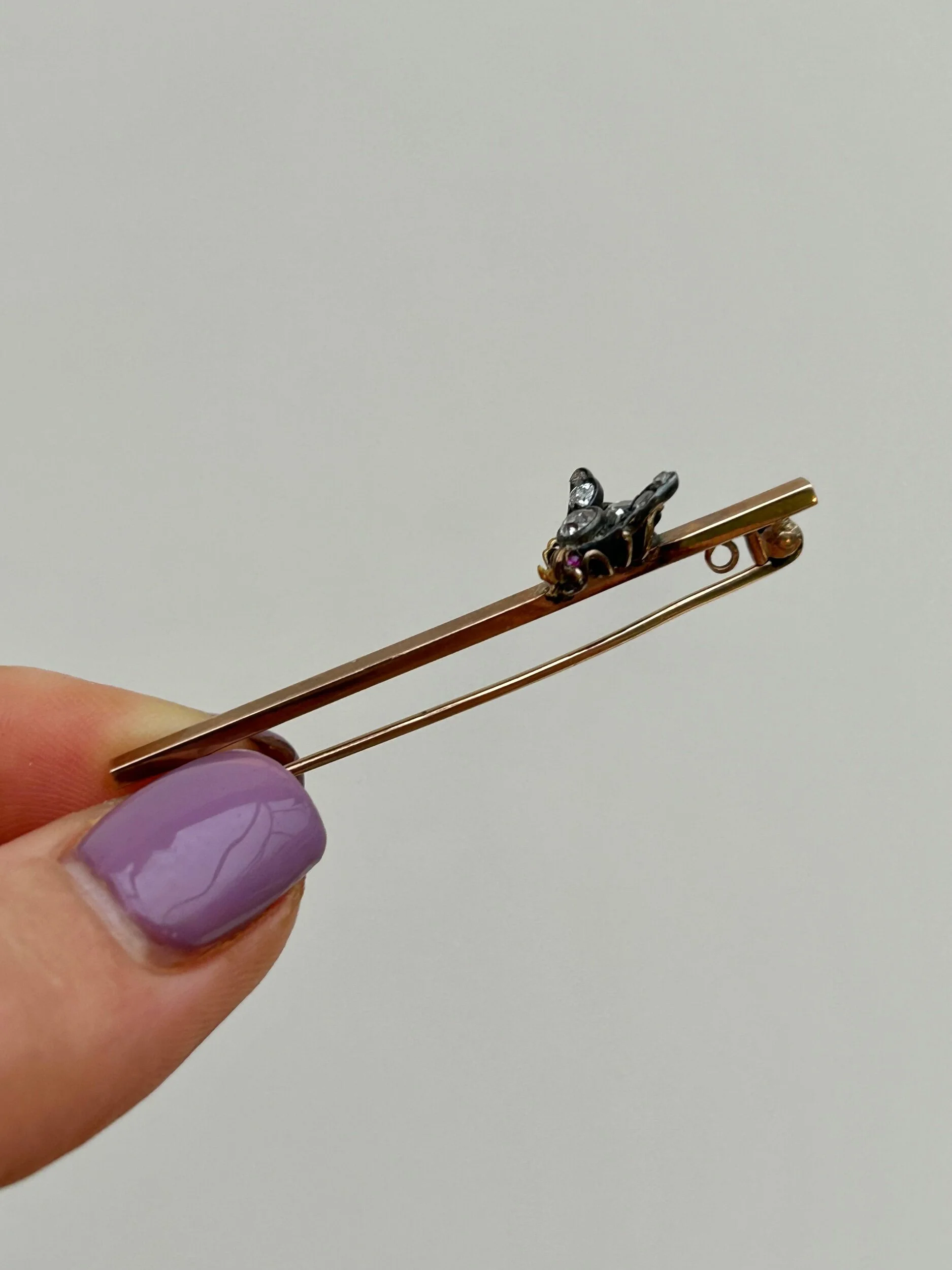 8290F465-B1D9-47C9-961F-4007E8578145