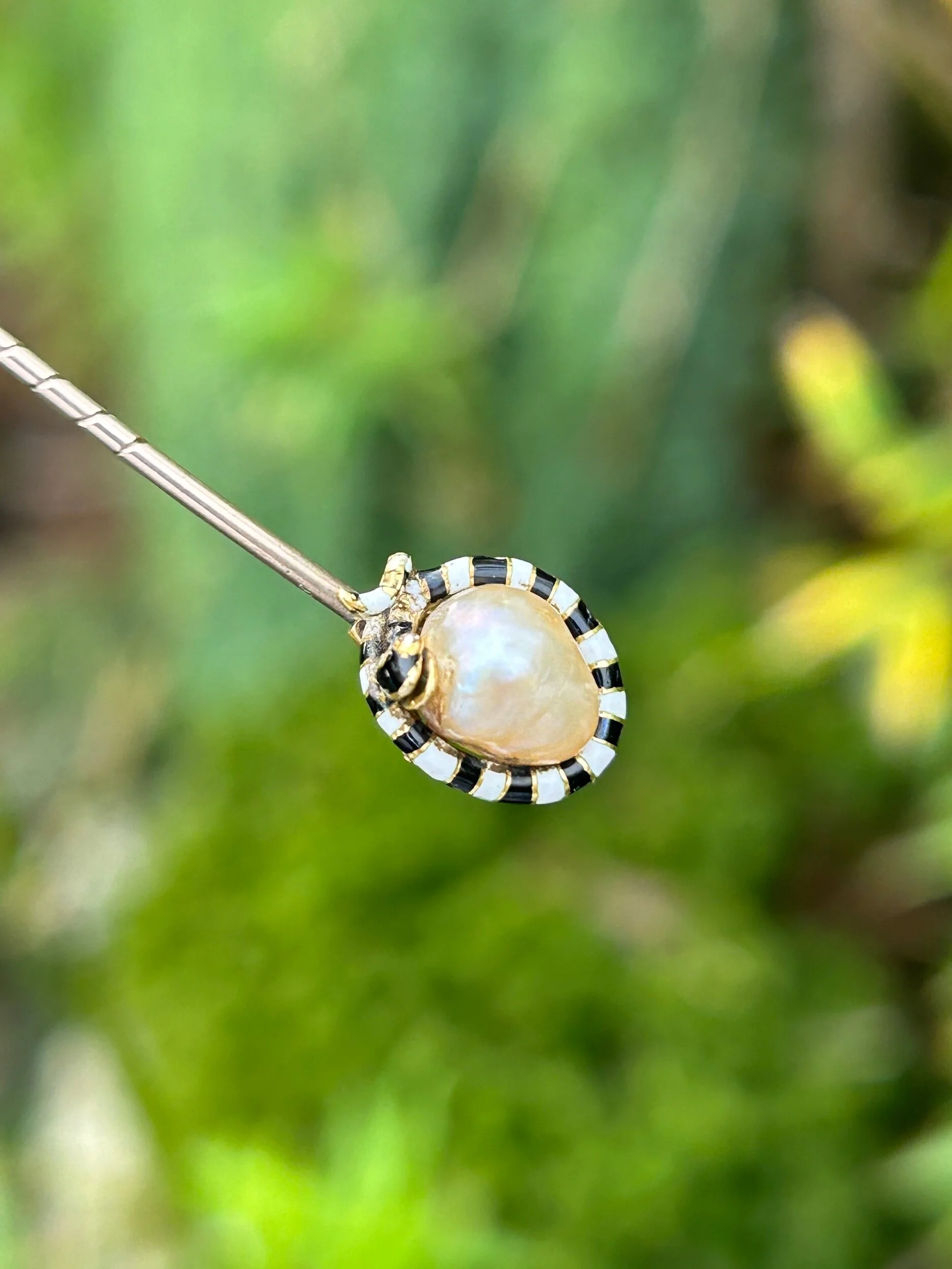 31B203EE-6FCD-41F0-B8BF-EE9BD9D45AC8