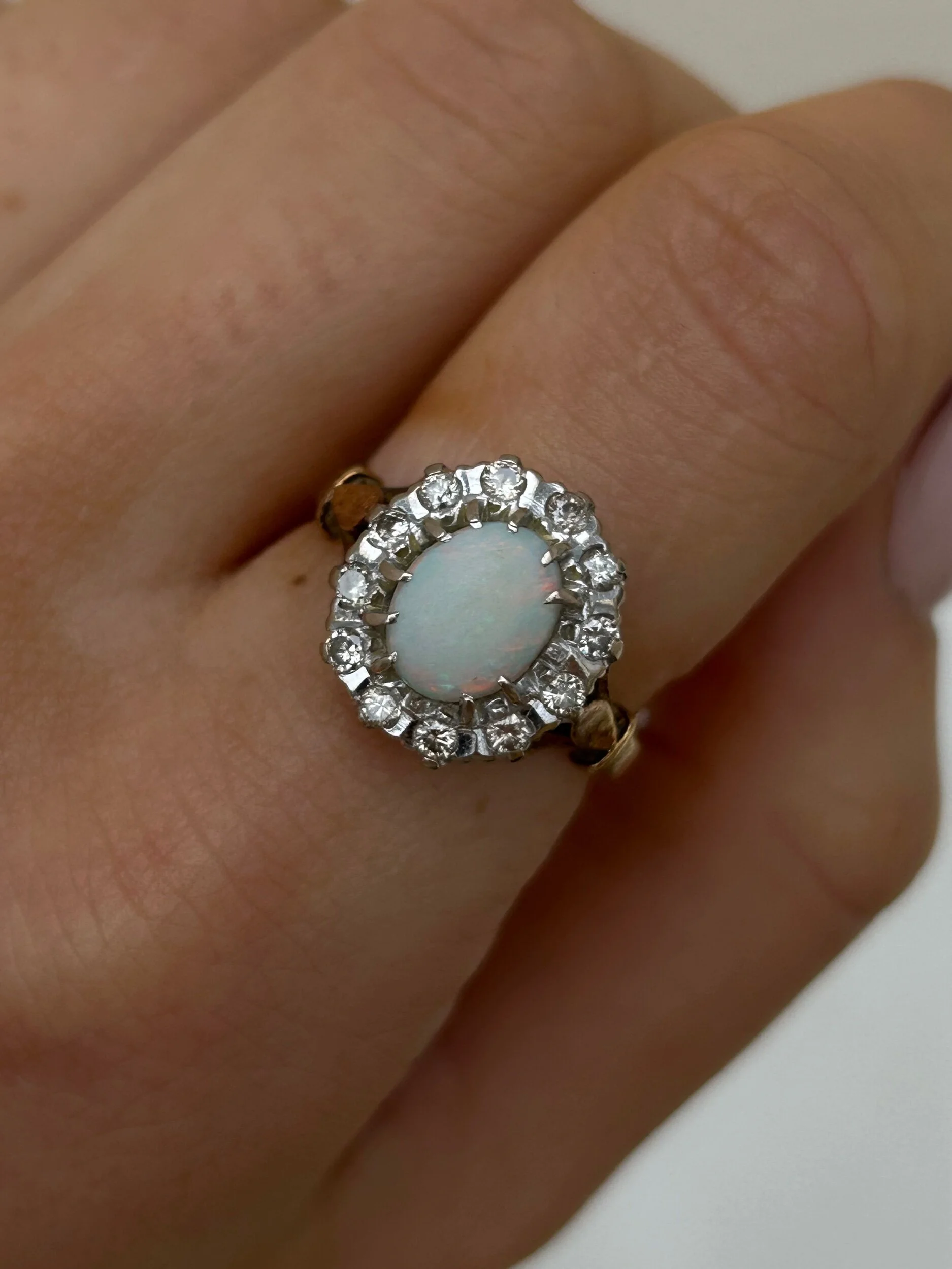 164F480D-9850-485C-8F50-49BC6B2B512A