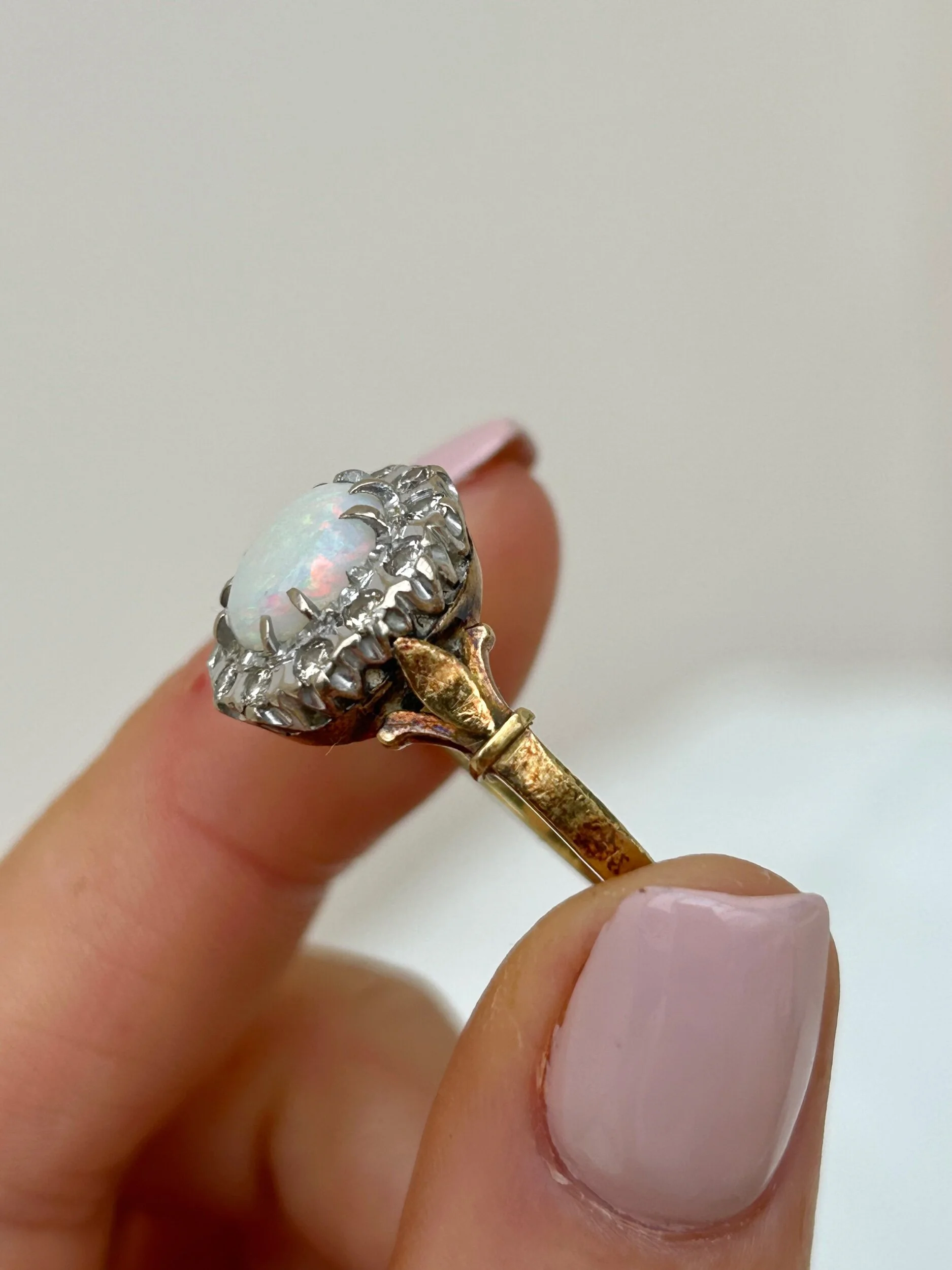 41C503DC-AC1C-4232-900A-EEC6C56416AC