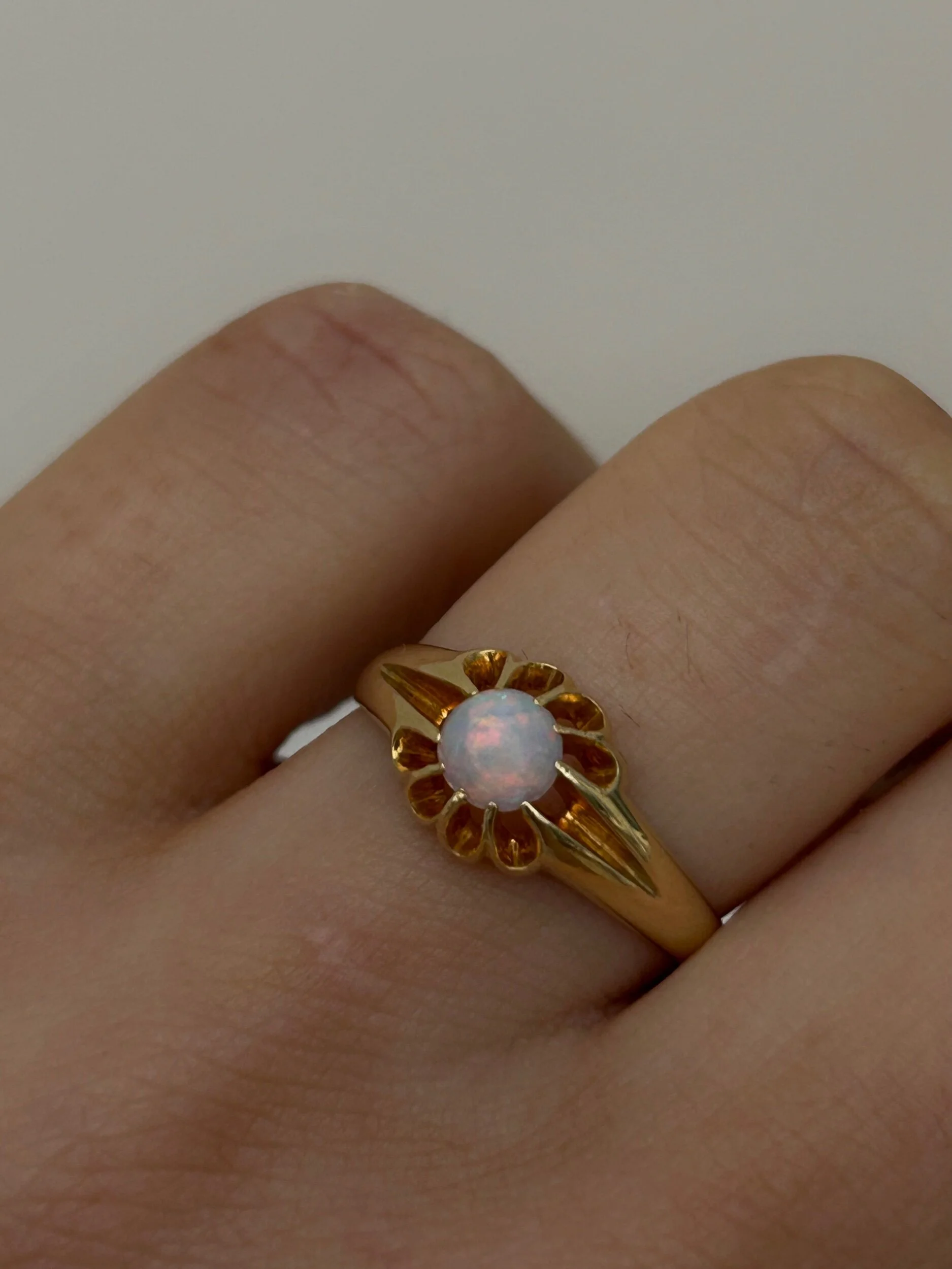 E0CD501F-00F7-4E24-A9A1-AC688FDB0FCD