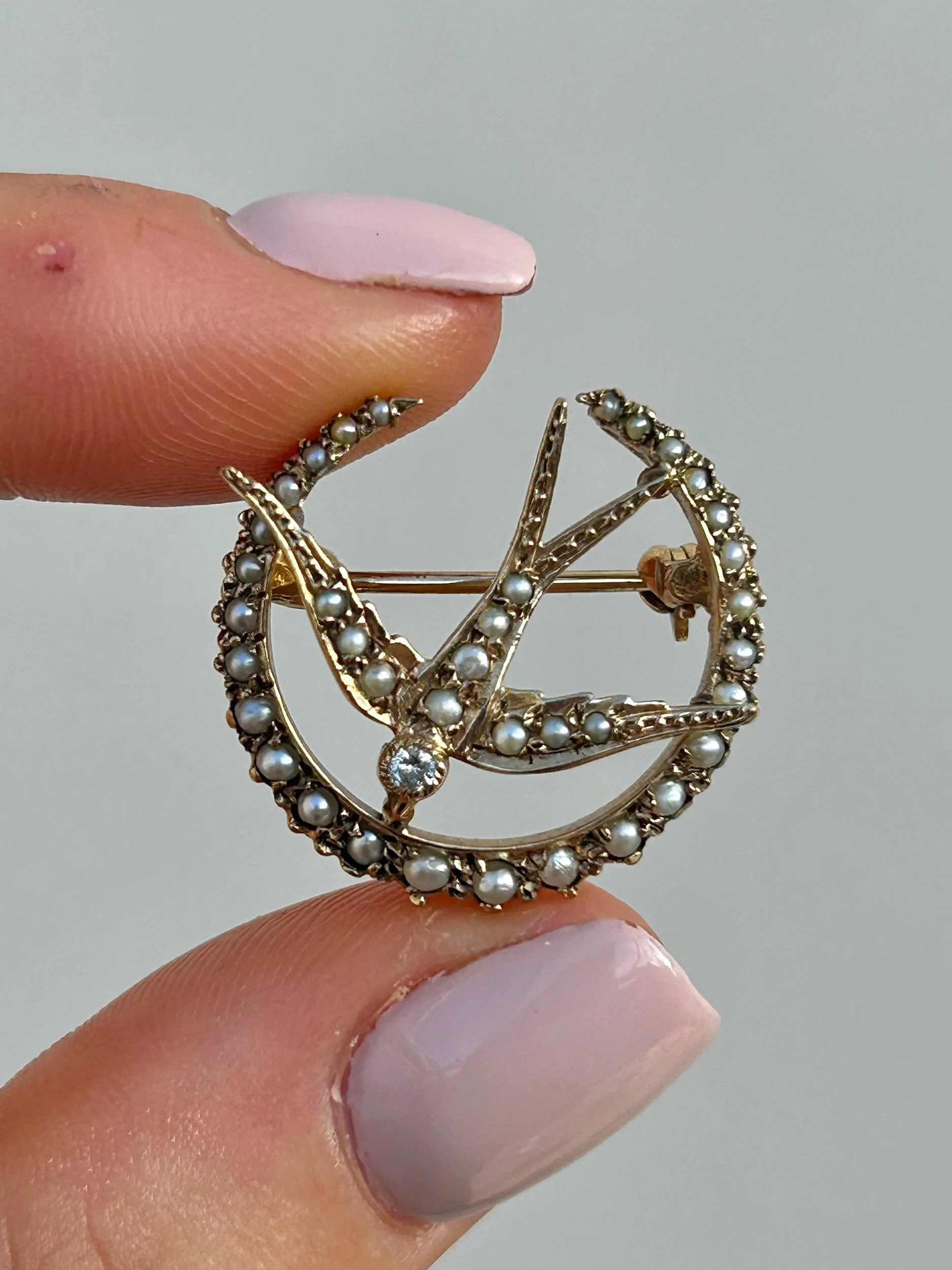 CC39EE3E-B73C-45C5-A730-8A8B85842A6E