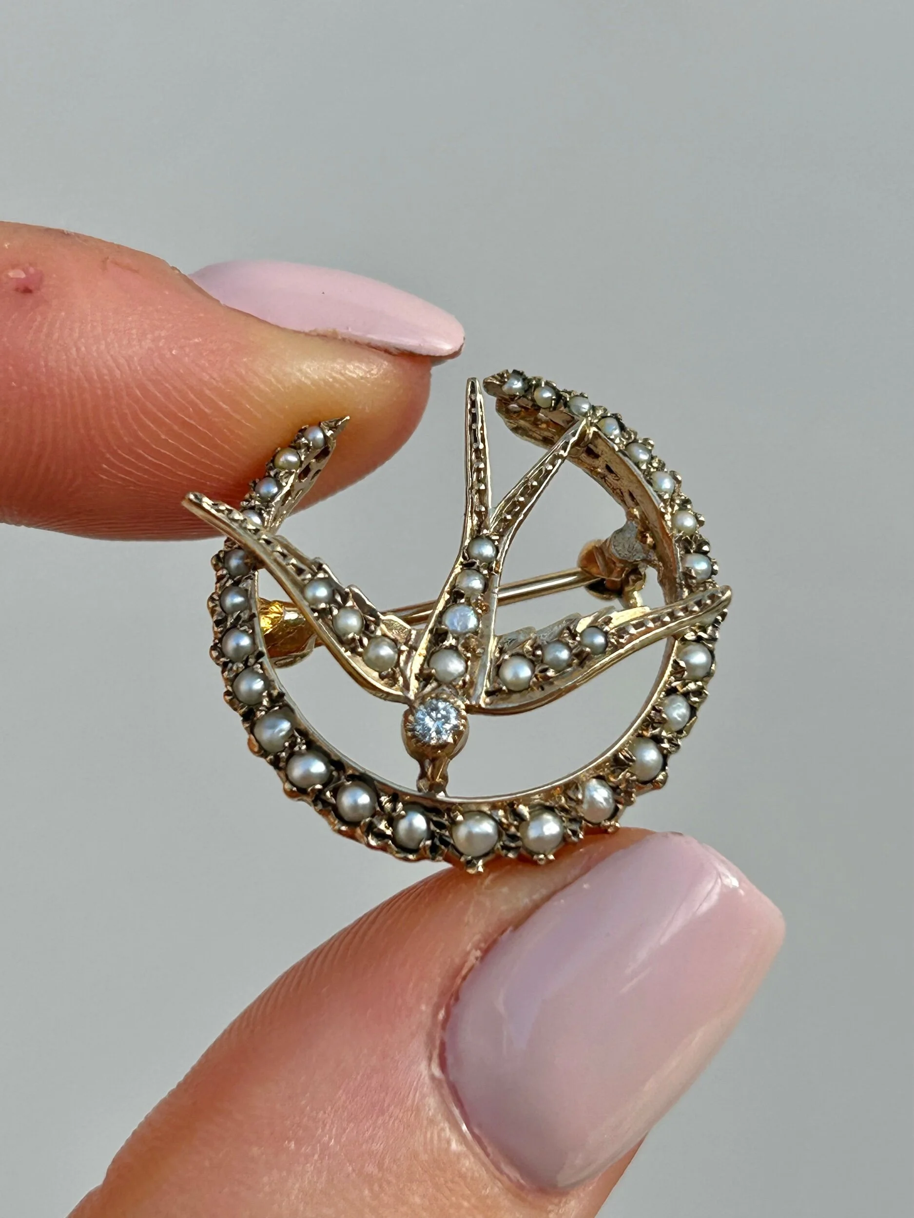 ABA9BF87-30B6-40A8-B19D-DE4D24C65204