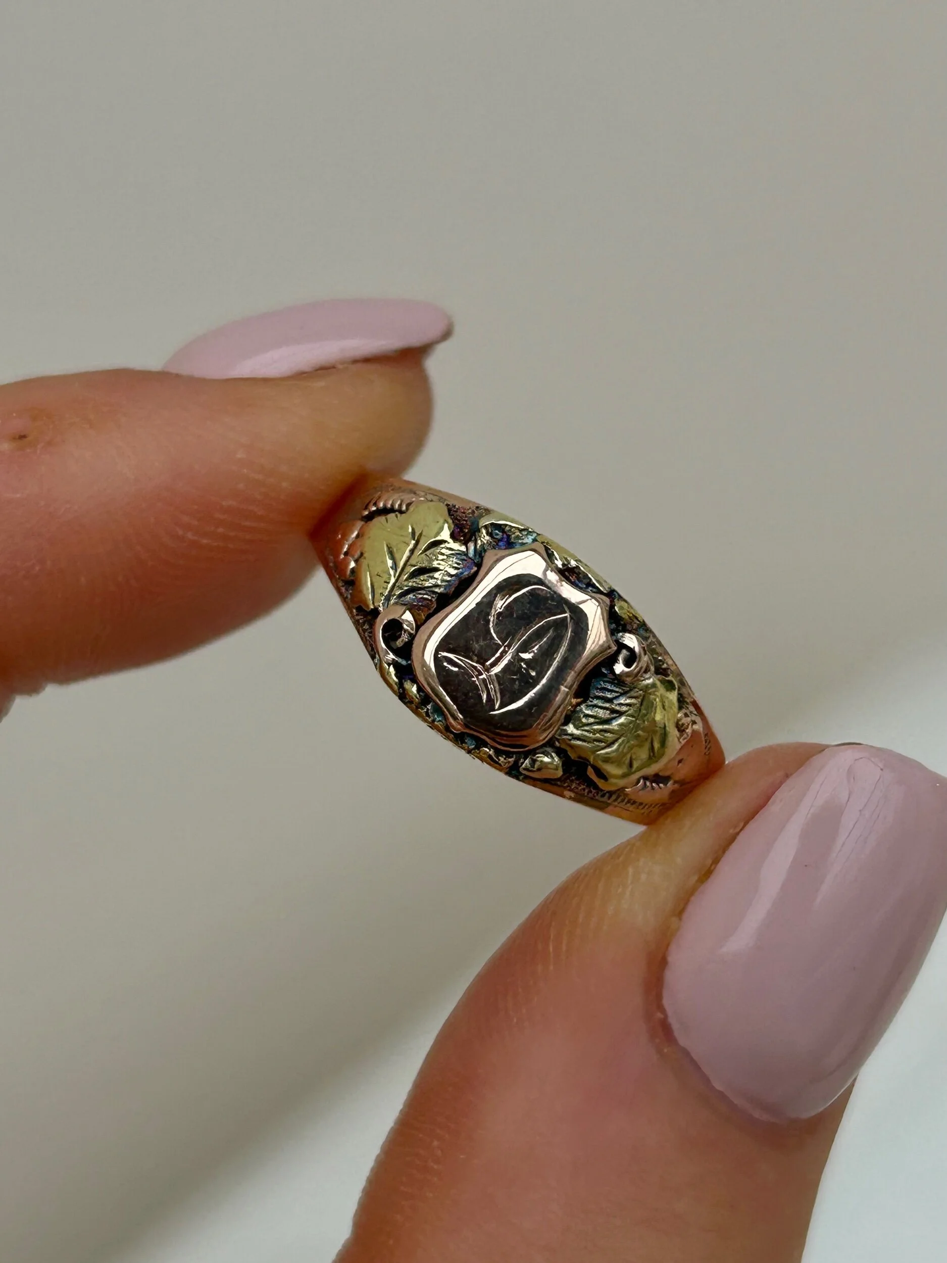 91CA49DF-FB4D-41DC-8791-D988656C5356