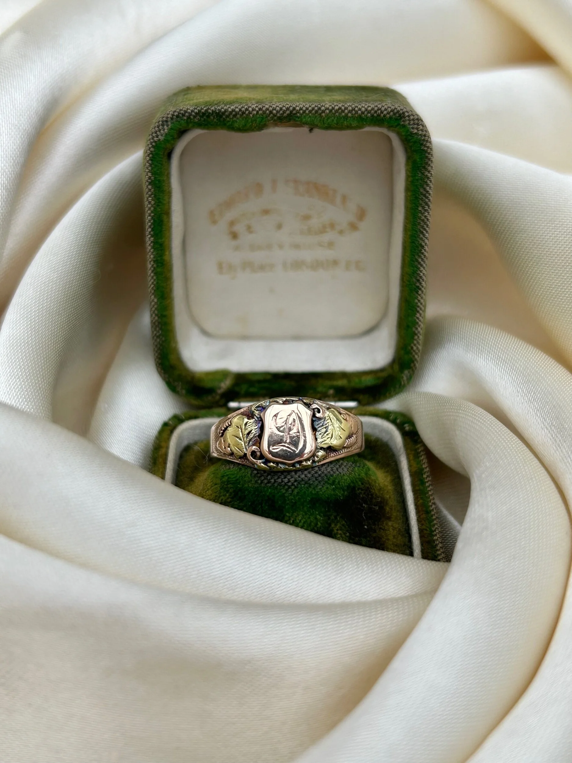 E238CC2A-E25E-4A10-BADA-AAABF81780C9