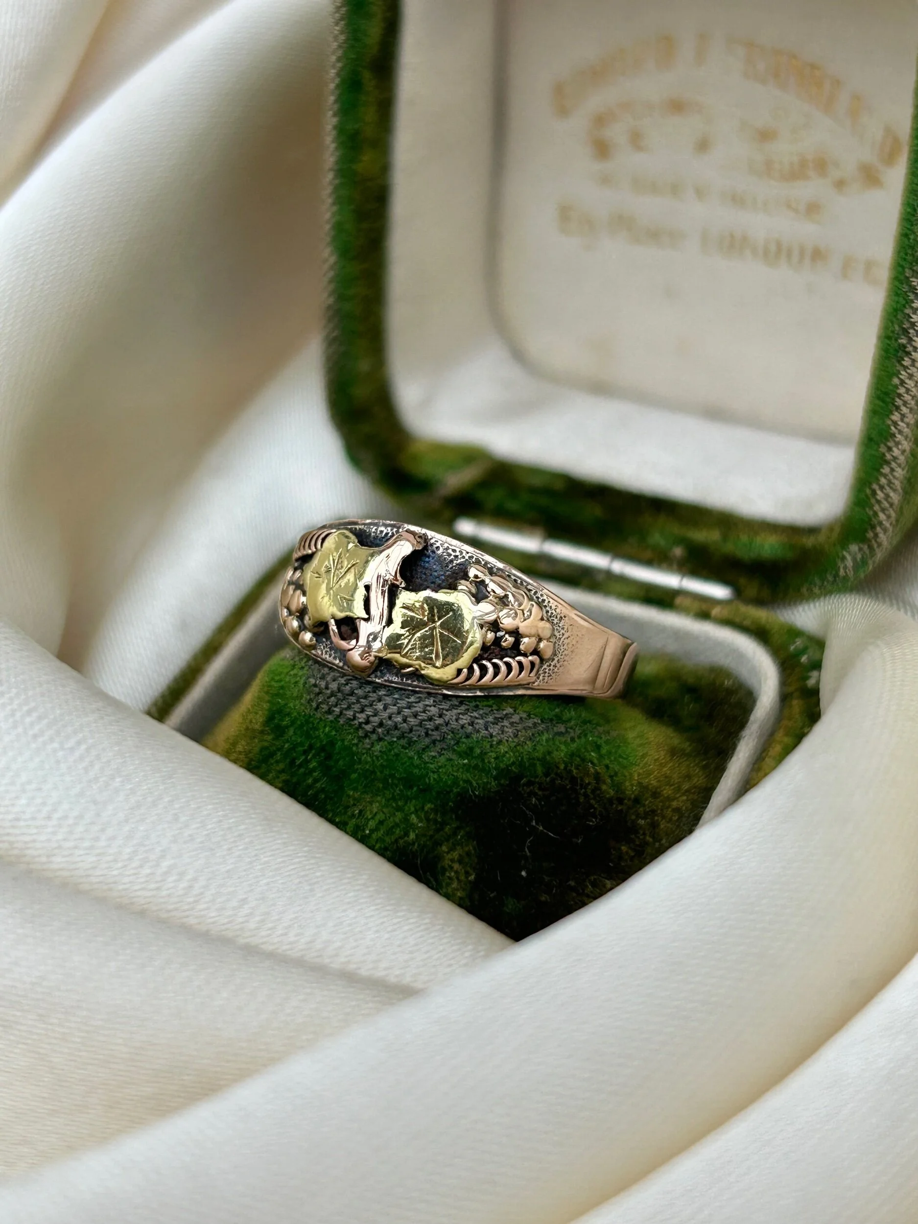 AC7EBF87-8489-4938-AAC5-881F04C0555D