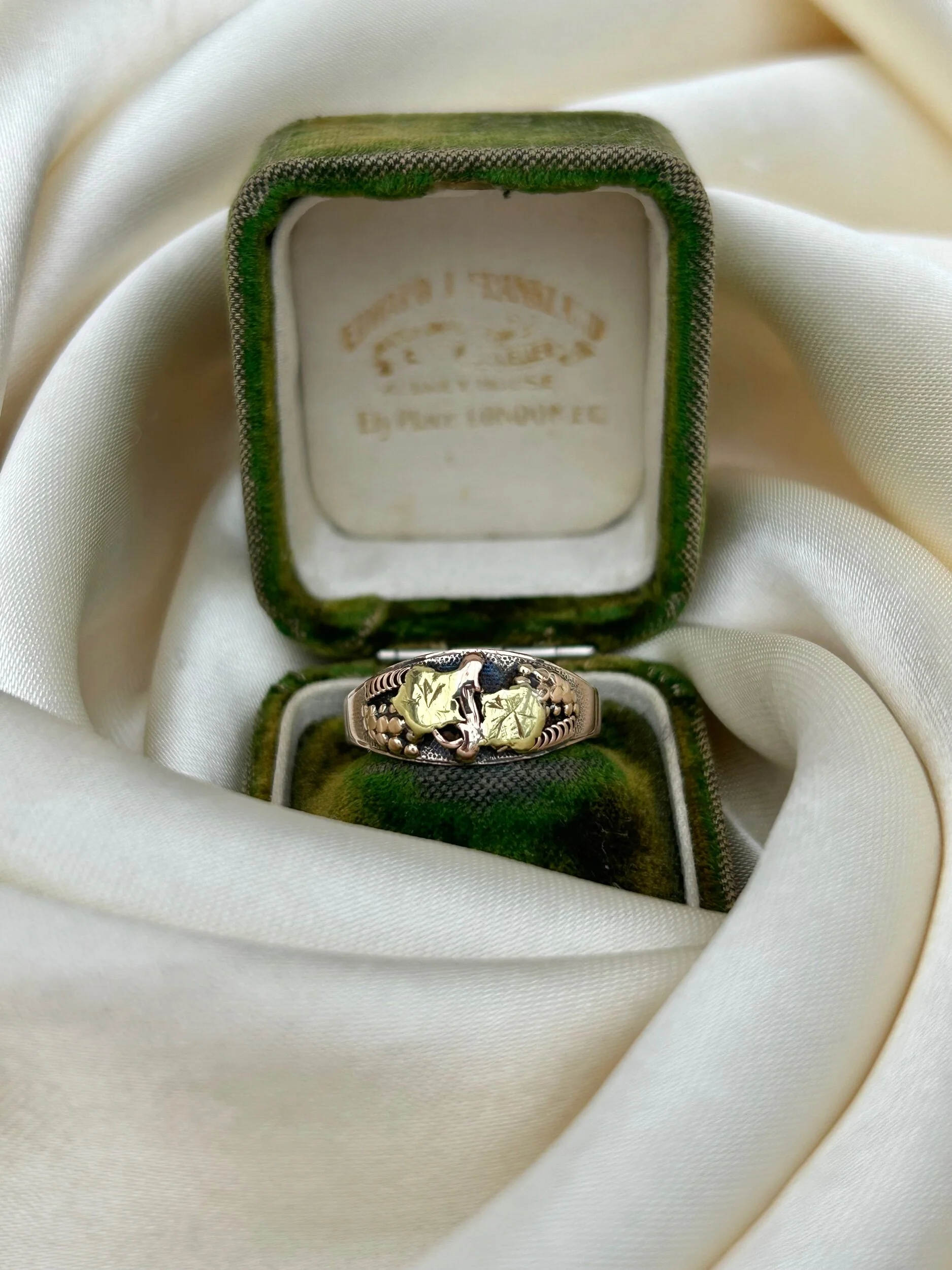 C868E1AC-36D5-4AF7-B36A-F6C5903A60E9