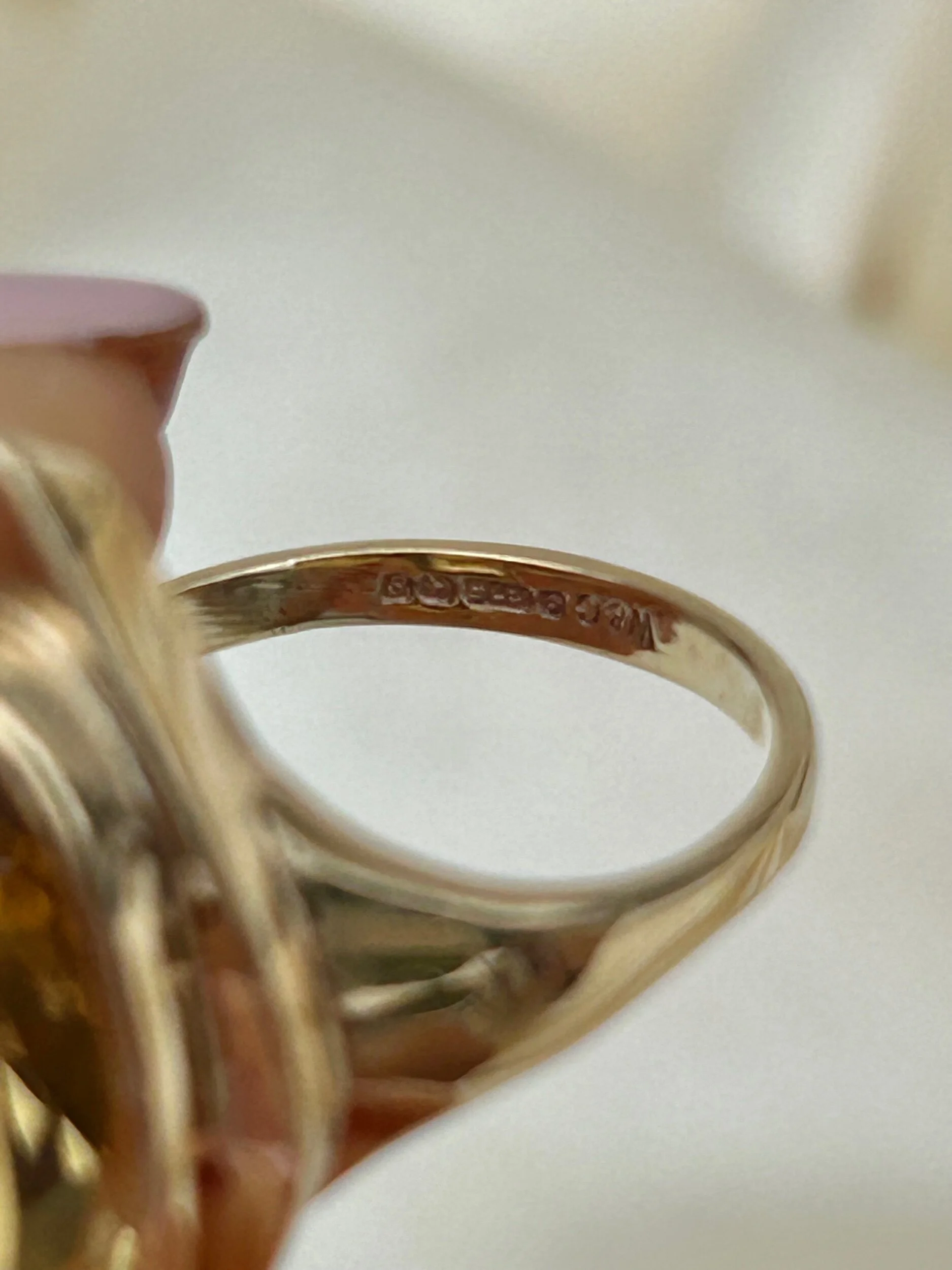 9BBE7CAF-79D1-468E-B5FE-B74EB88A0909