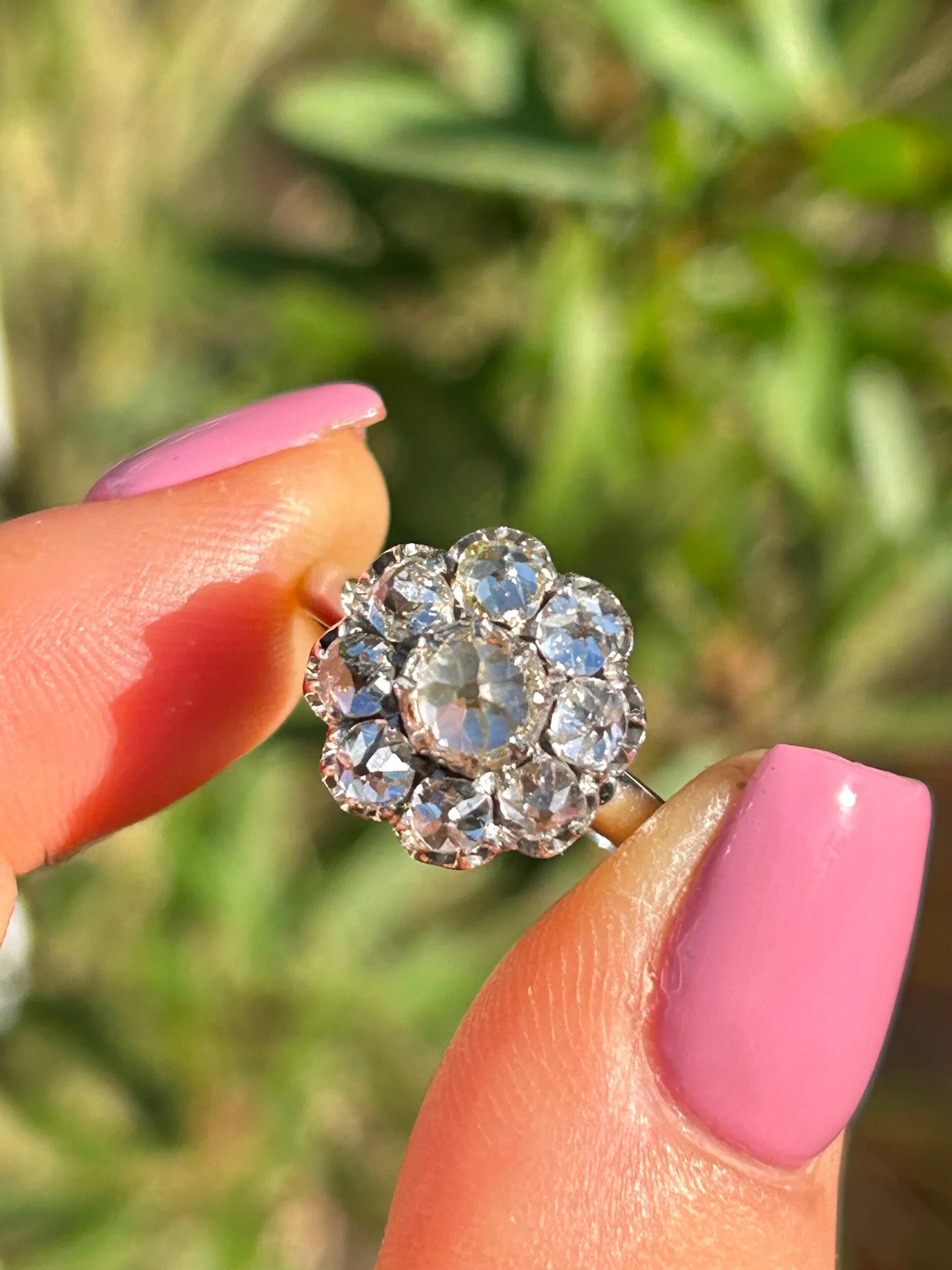 C43C2D14-D889-45E5-8B47-5053943E6745