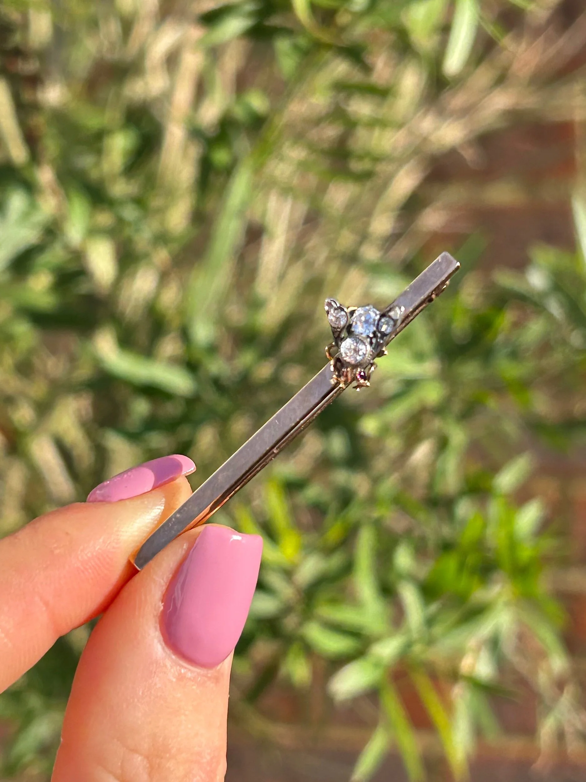 5C1220AE-4200-40ED-9251-4A4DEF472B8B