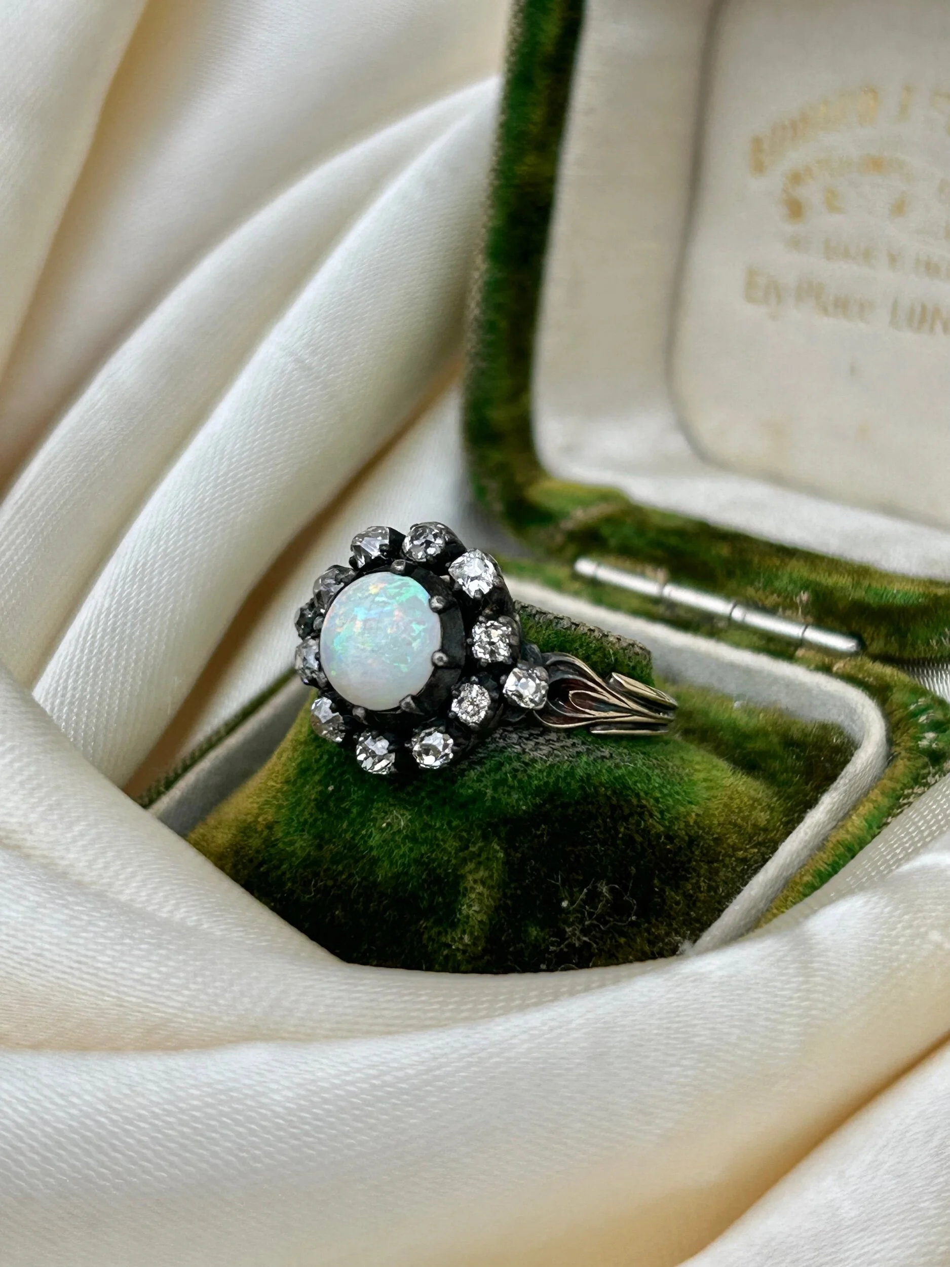 36AAAE85-4841-4EE6-9DFA-858437D0F230