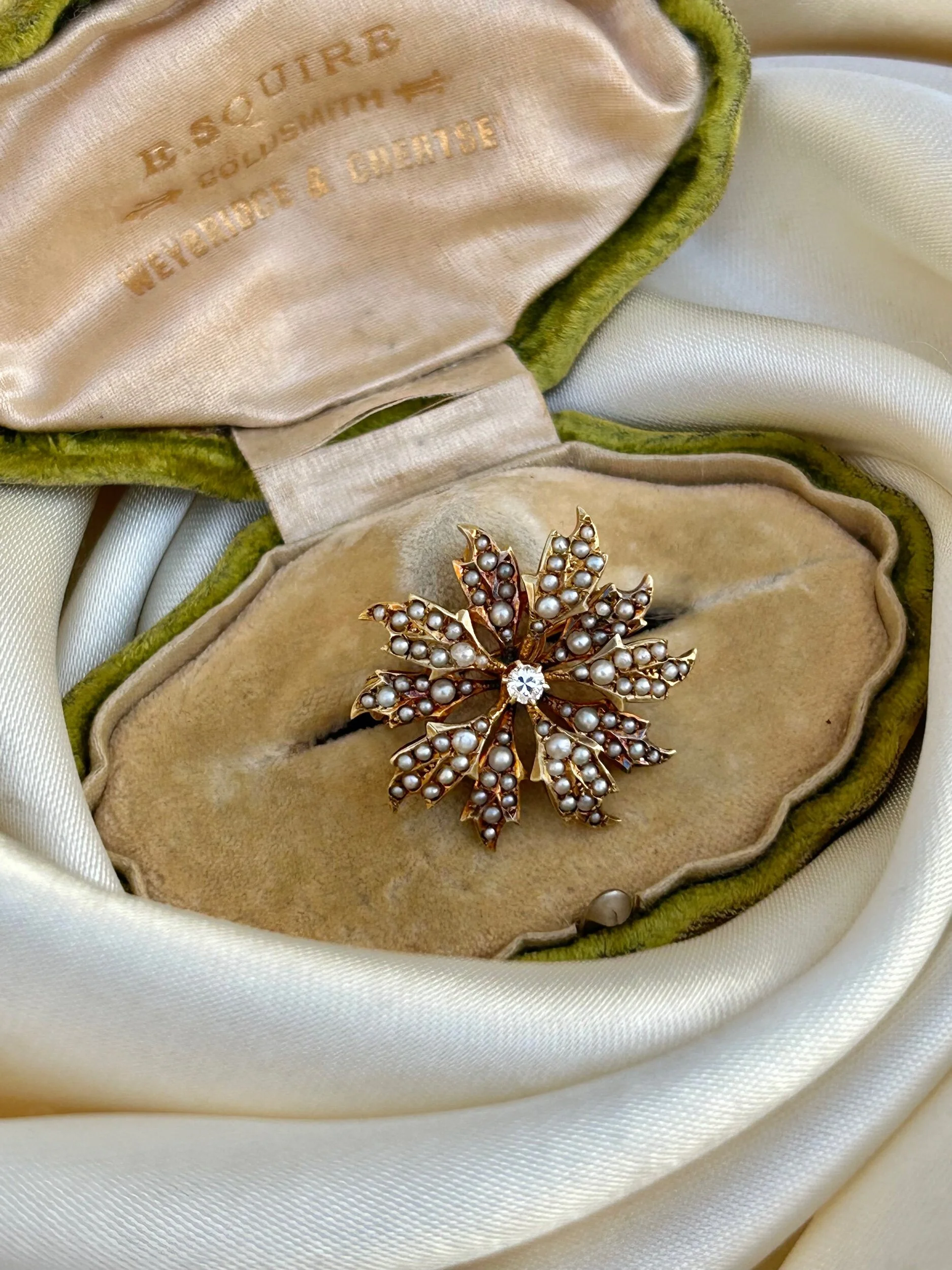 E15A4B97-0262-4032-B8ED-1D4E47DD903A