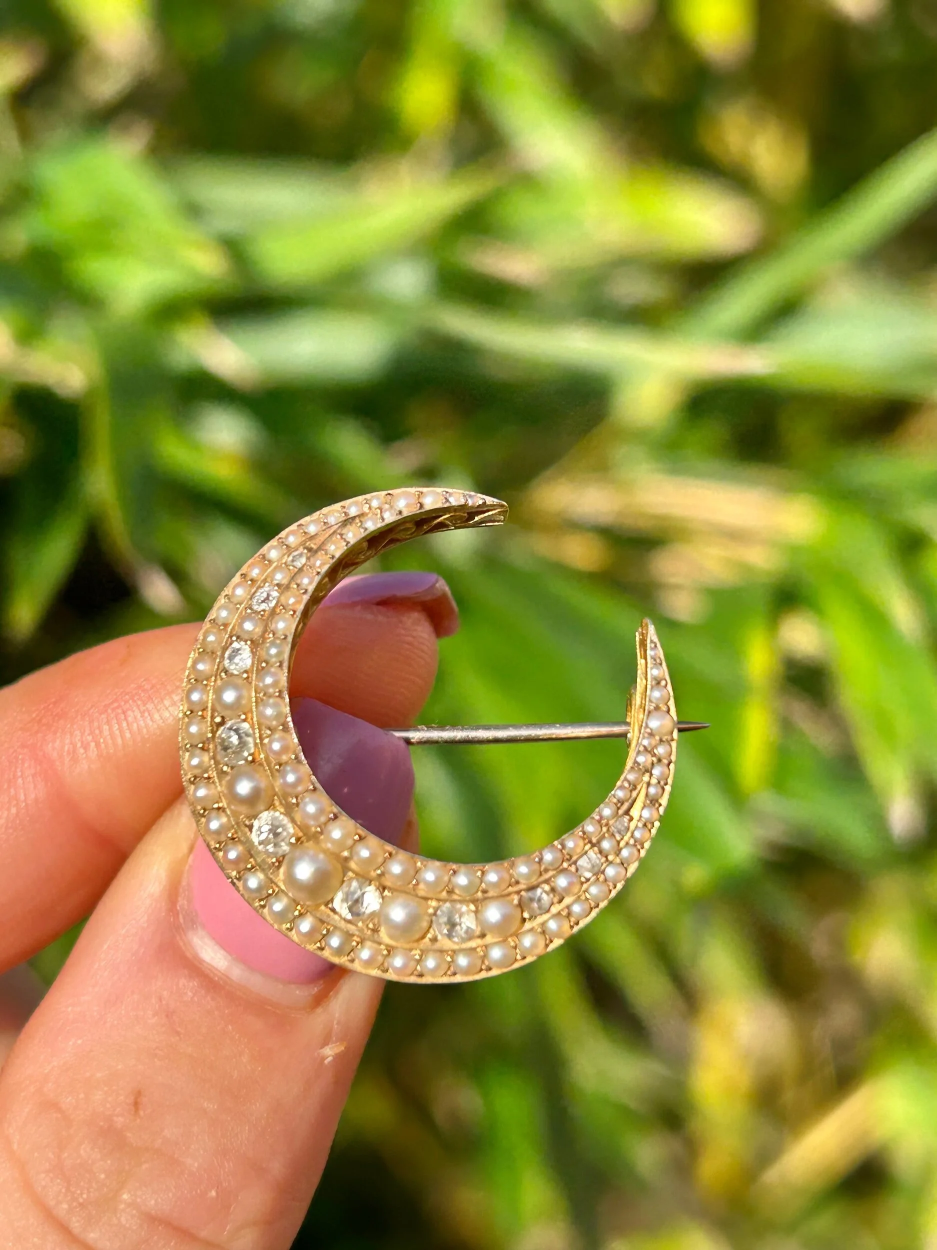 5BAE796B-DBAF-497E-B918-FD0D2E8EF34E