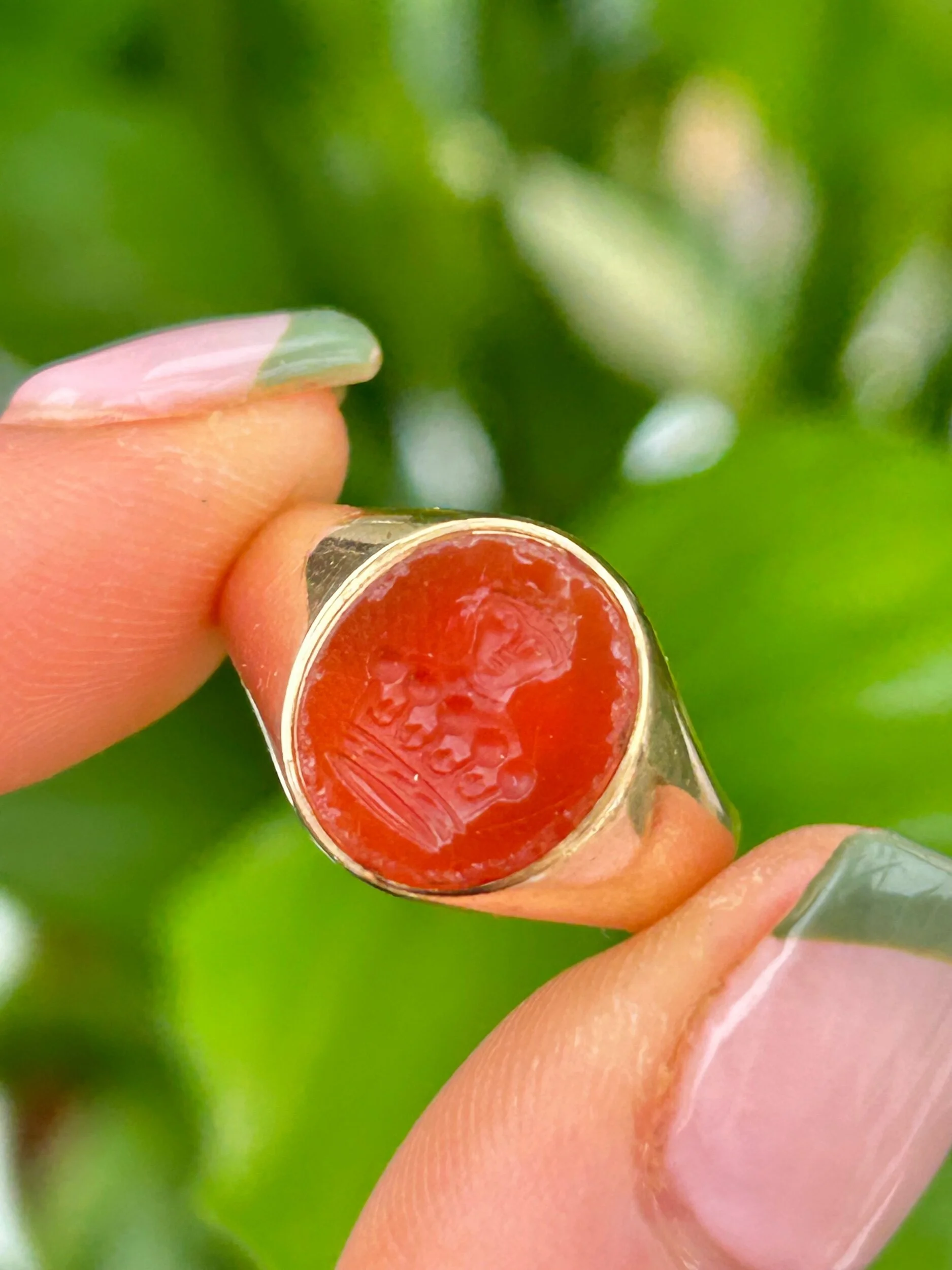 B5695E72-BA39-4E52-B9FD-62C005F09B1A