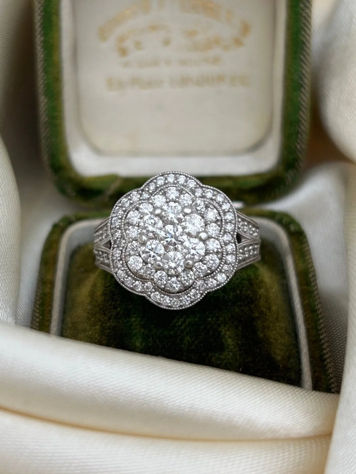 5431D81C-03B3-40D1-9AA9-1F422559674C