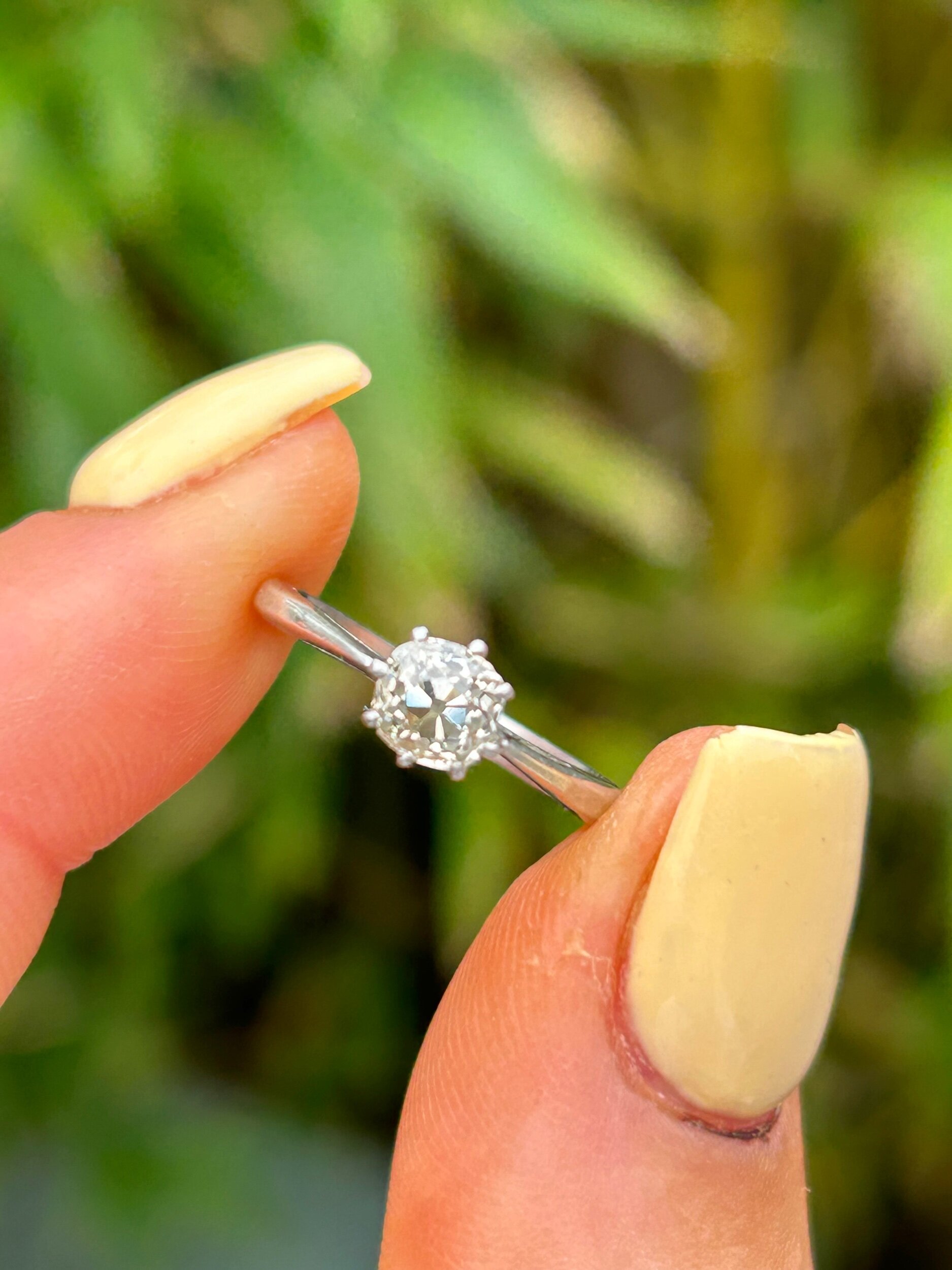 CEEF2C86-8FF6-4F3E-9913-CE24EB515884