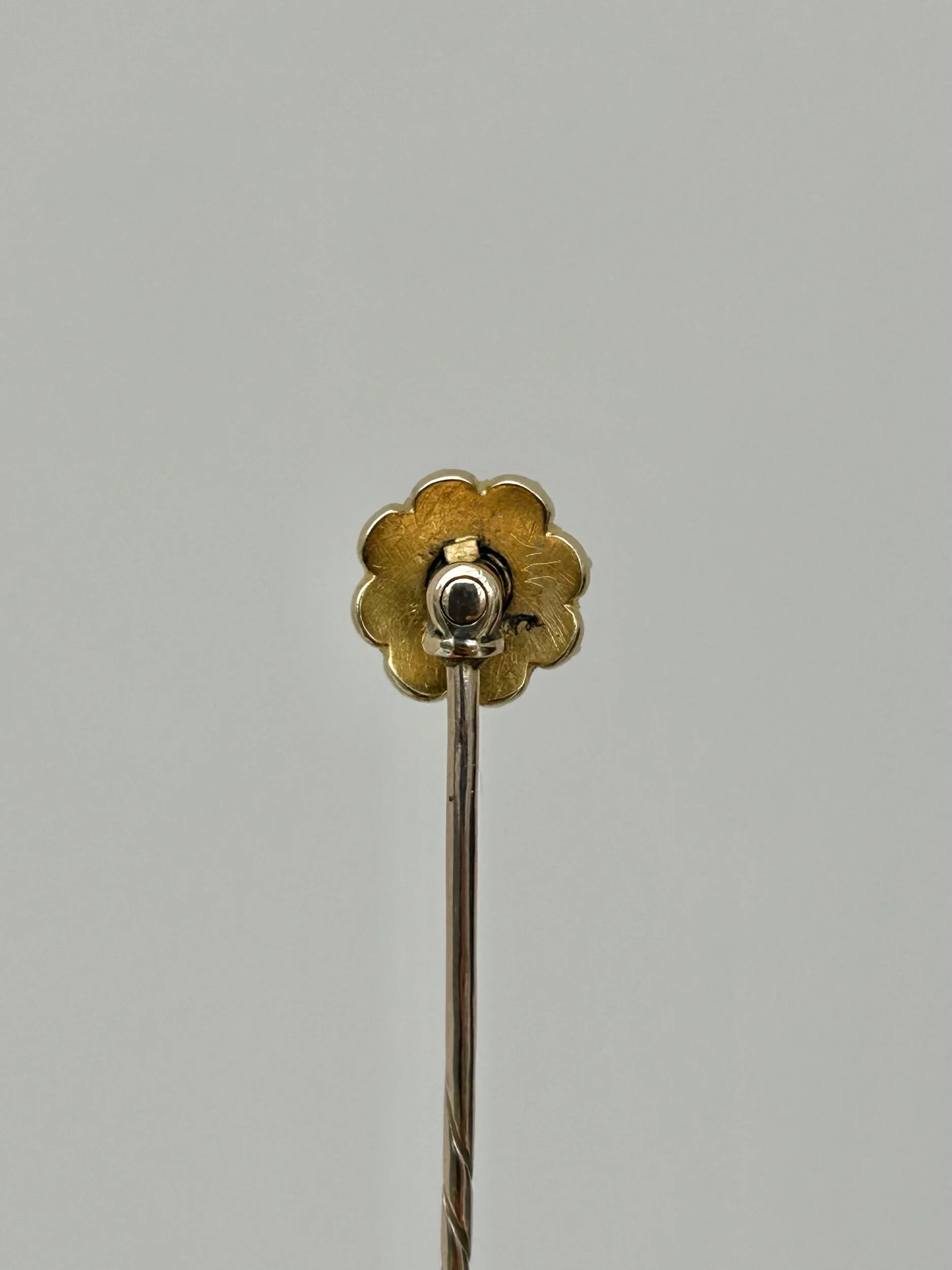 BD5410E9-FEDB-420A-88E9-B953B4AA4851